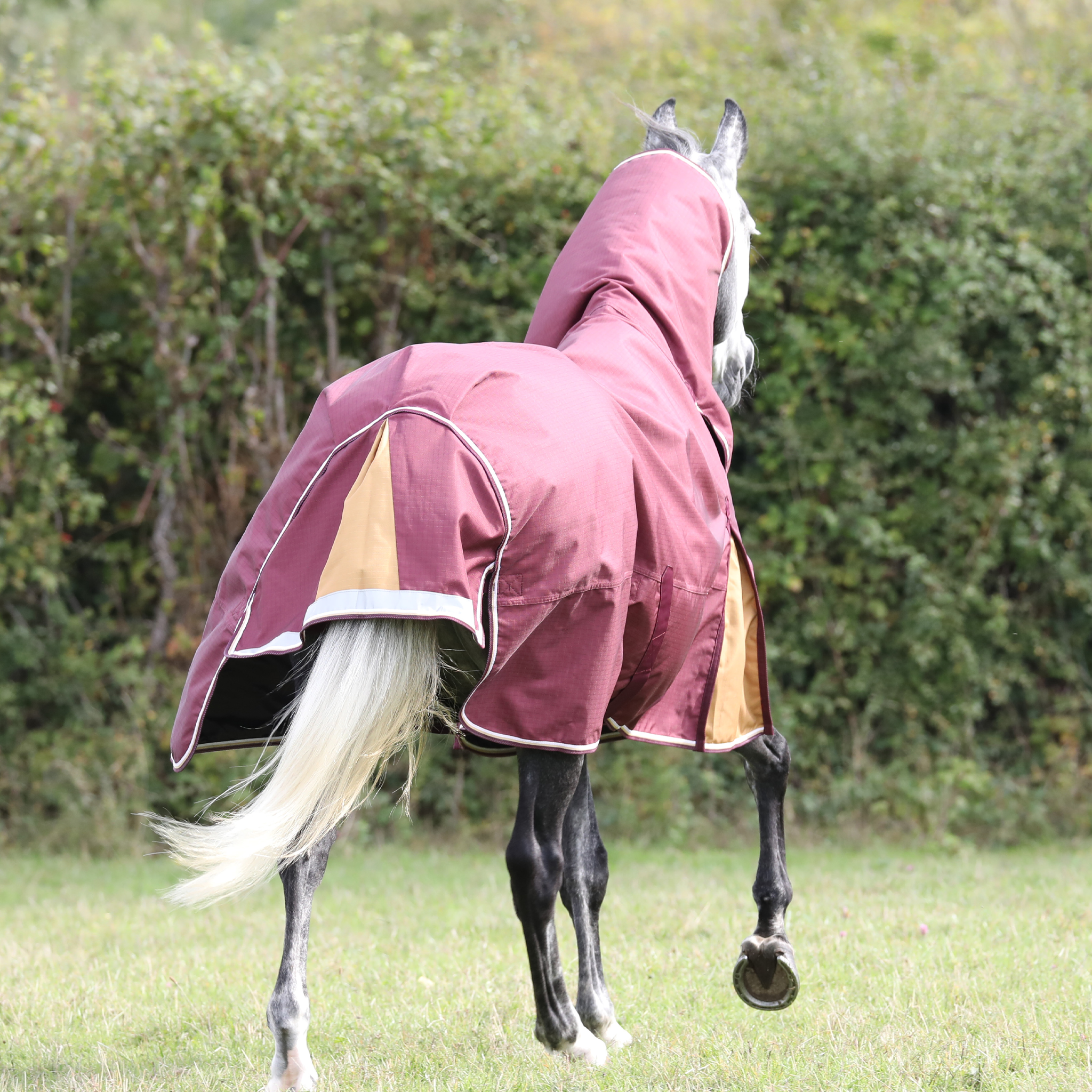 Shires Highlander Plus 100g Combo Turnout Rug