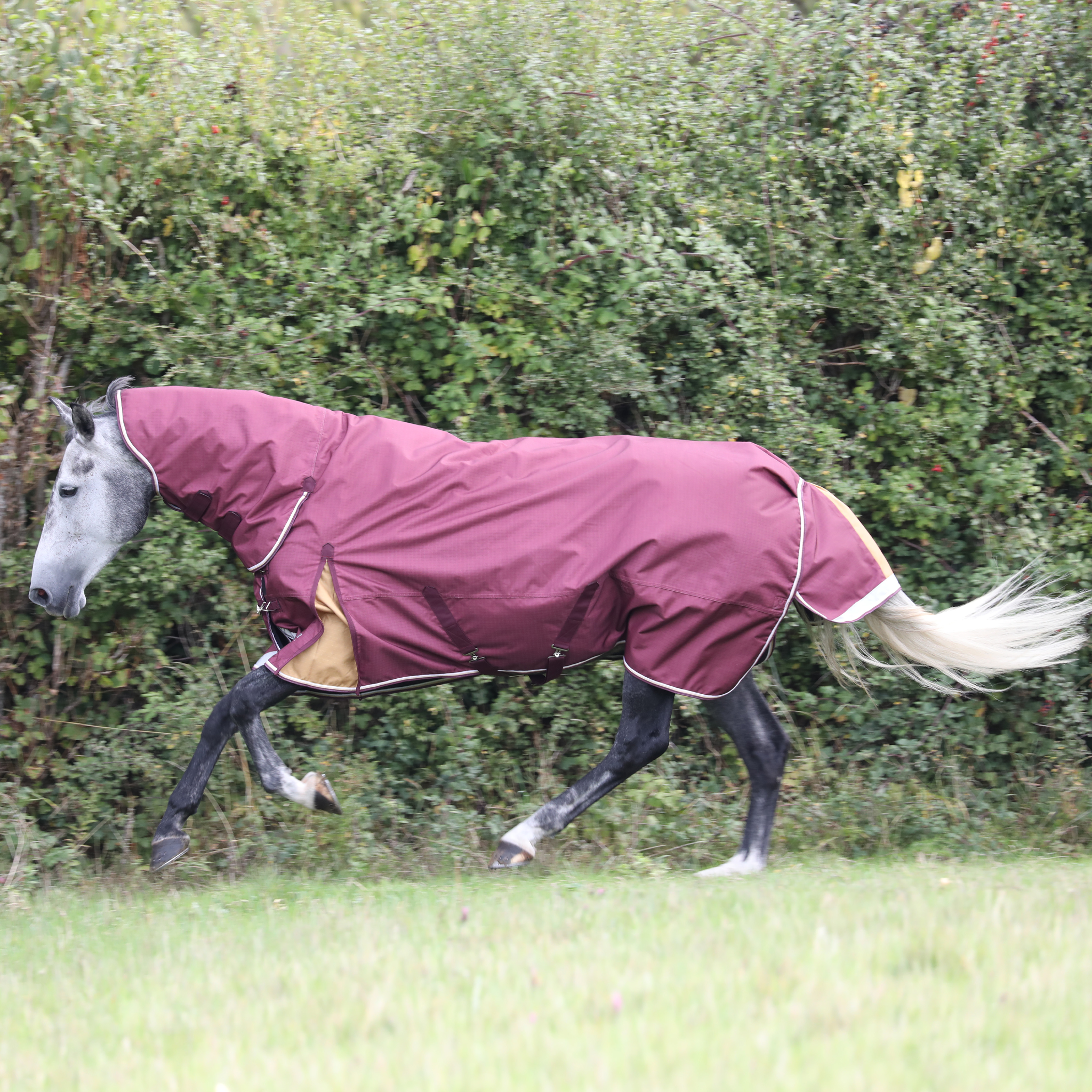 Shires Highlander Plus 100g Combo Turnout Rug