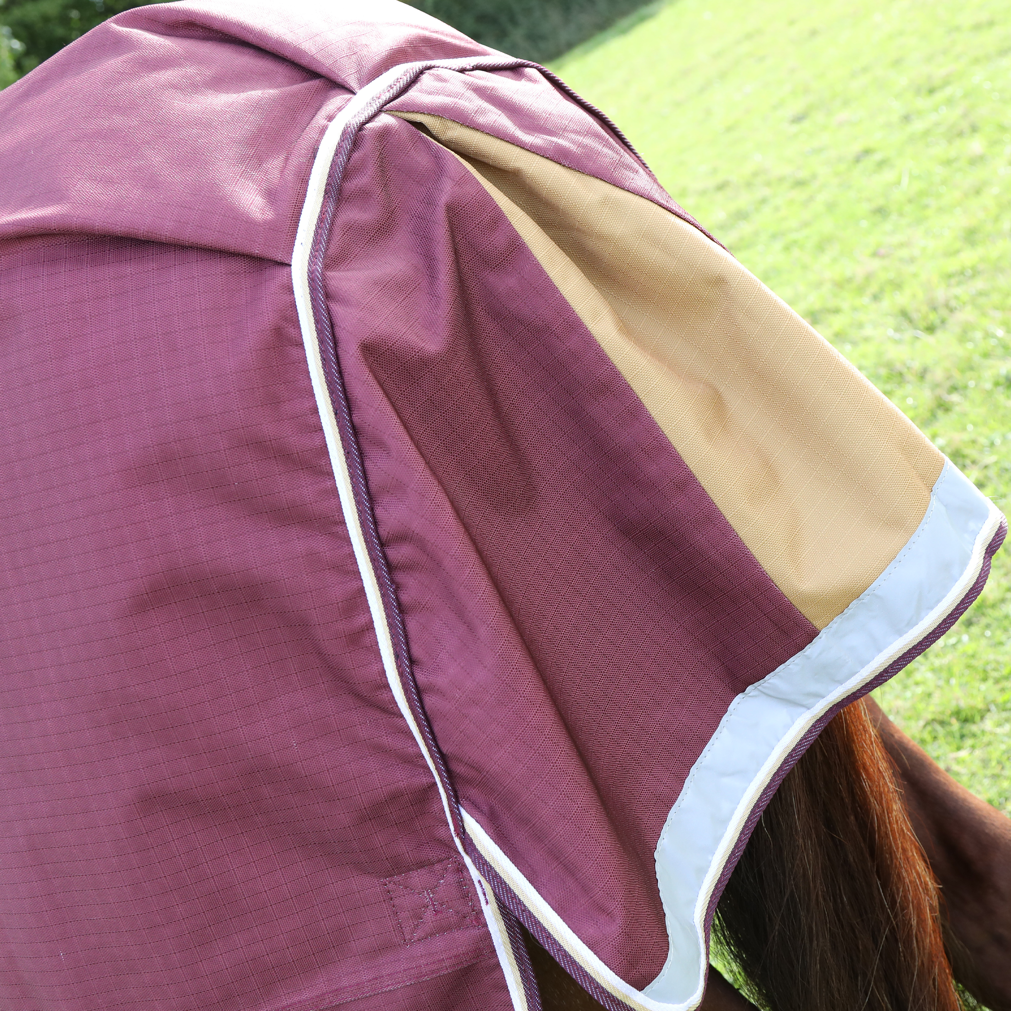 Shires Highlander Plus 100g Standard Turnout Rug