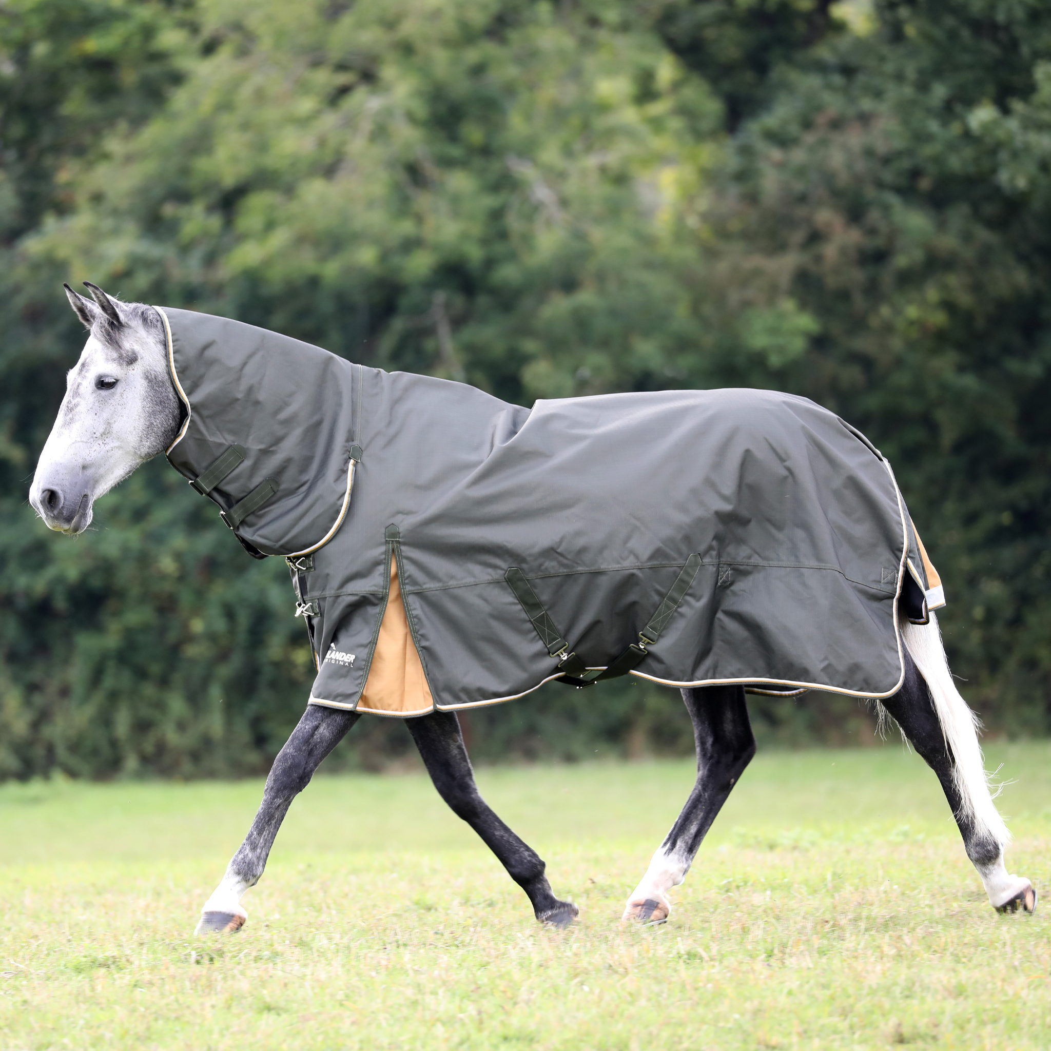 Shires Highlander Plus 50g Combo Turnout Rug