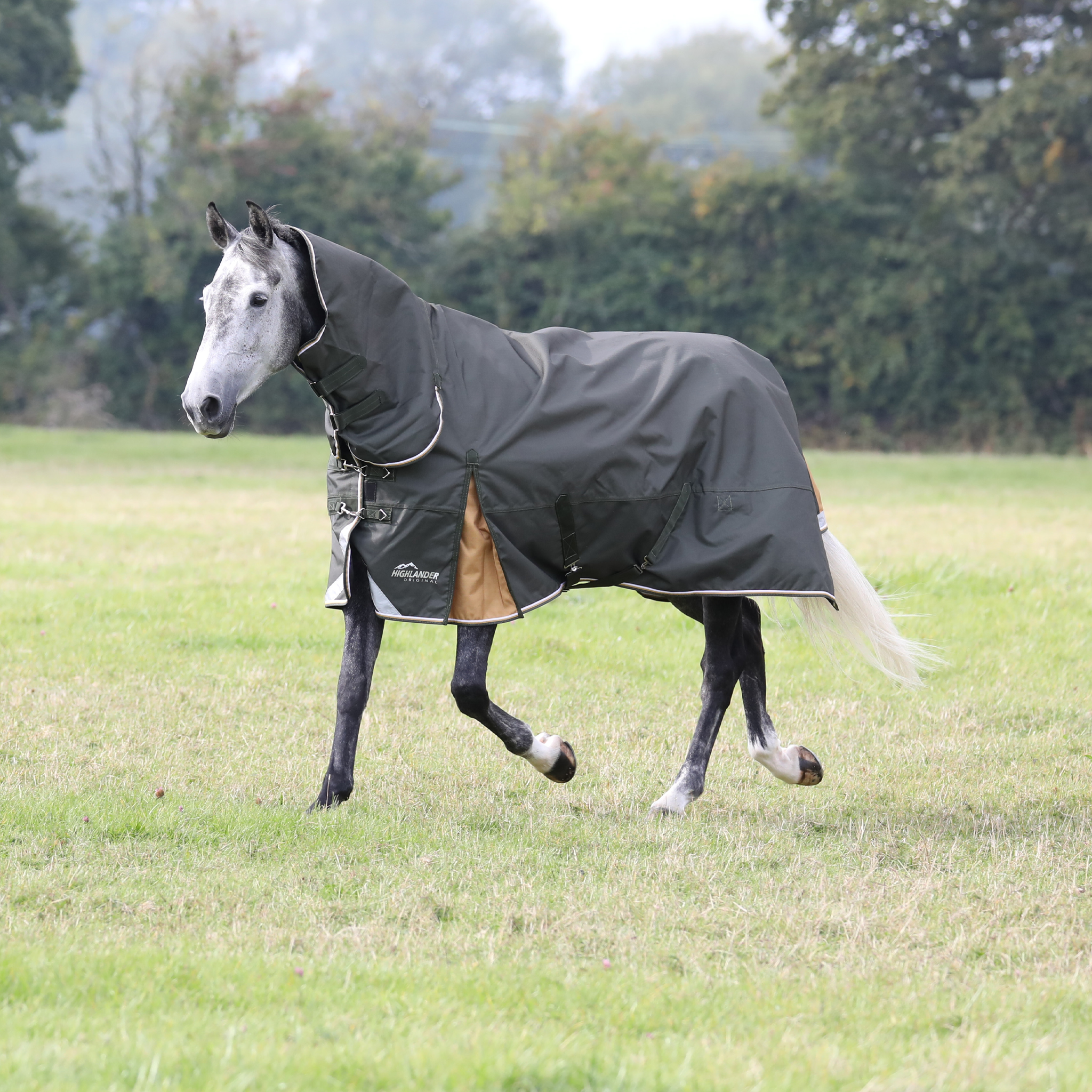 Shires Highlander Plus 50g Combo Turnout Rug