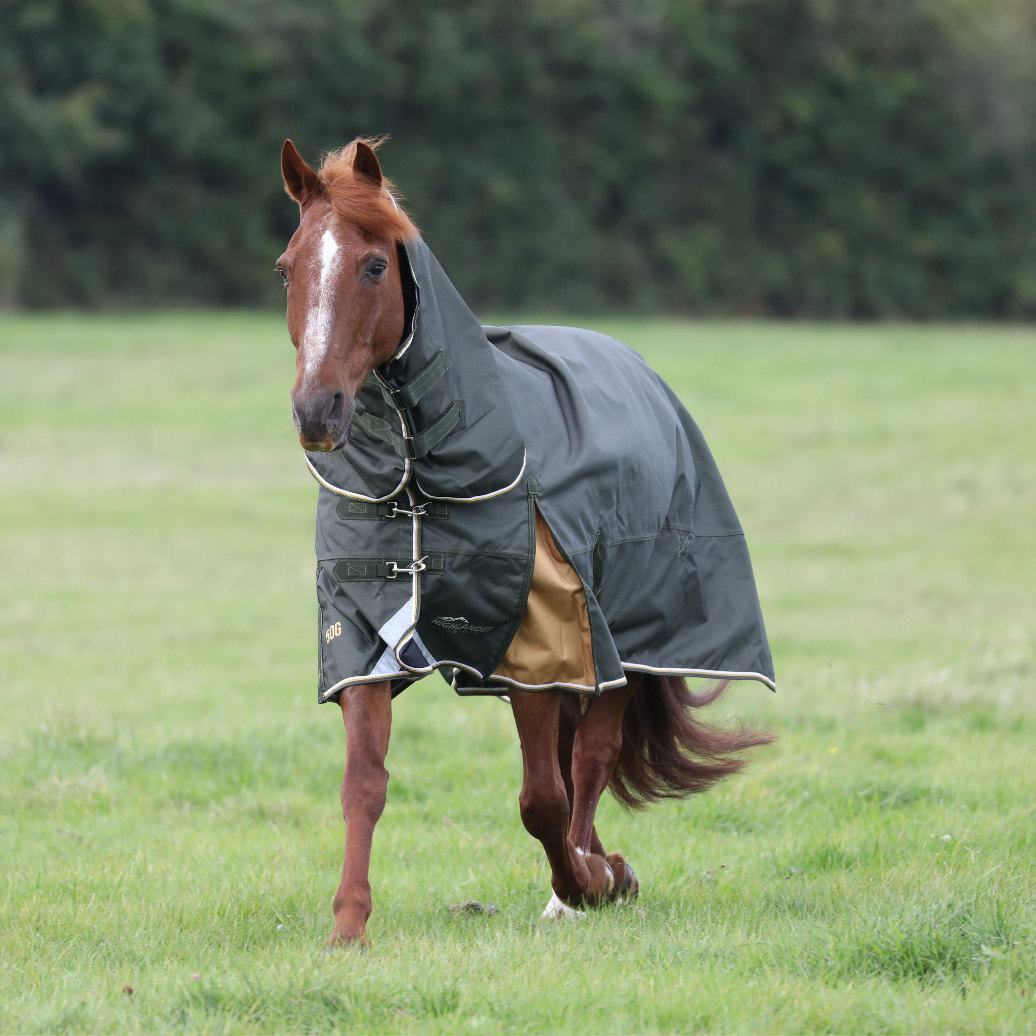 Shires Highlander Plus 50g Combo Turnout Rug