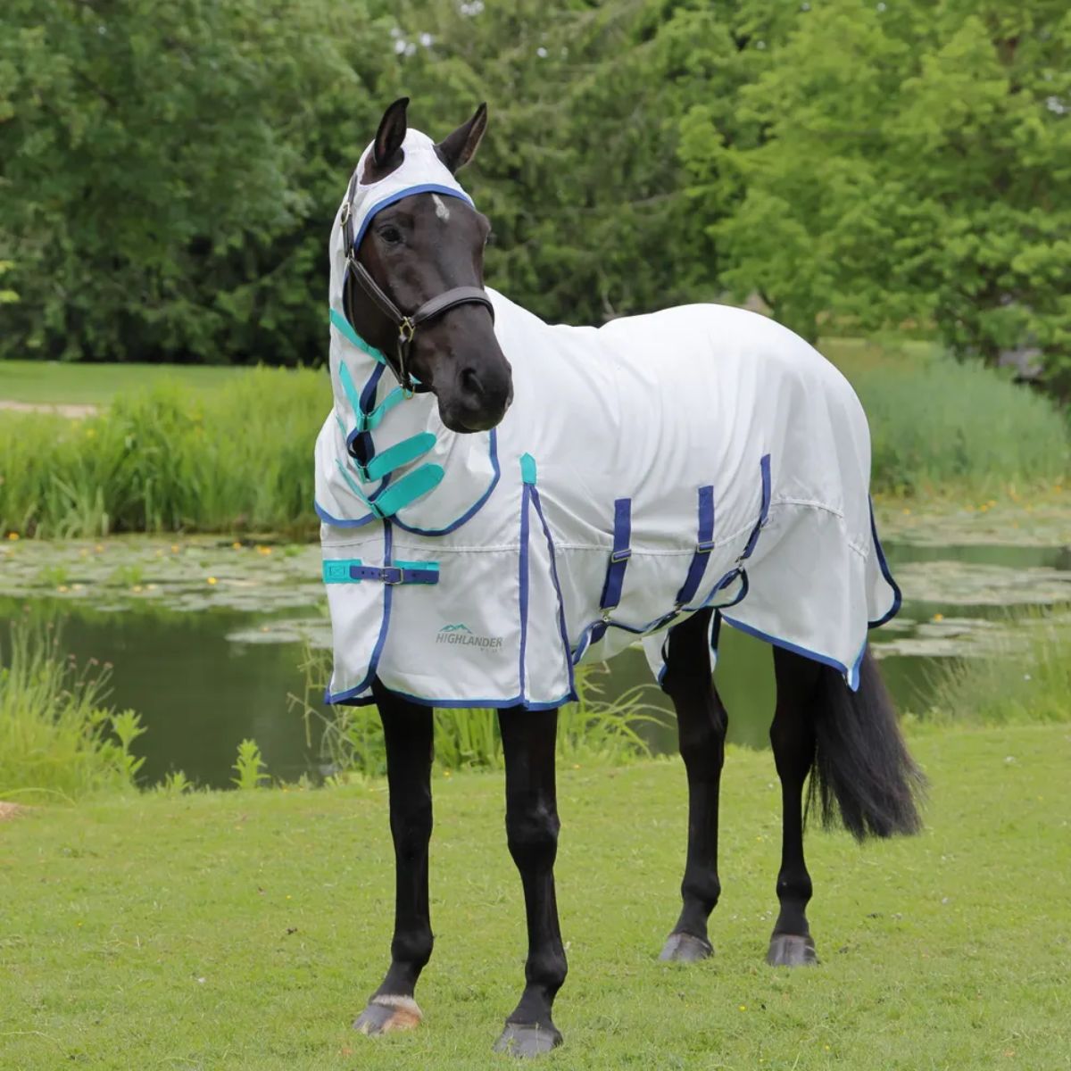 Shires Highlander Plus Sweet Itch Combo Fly Rug