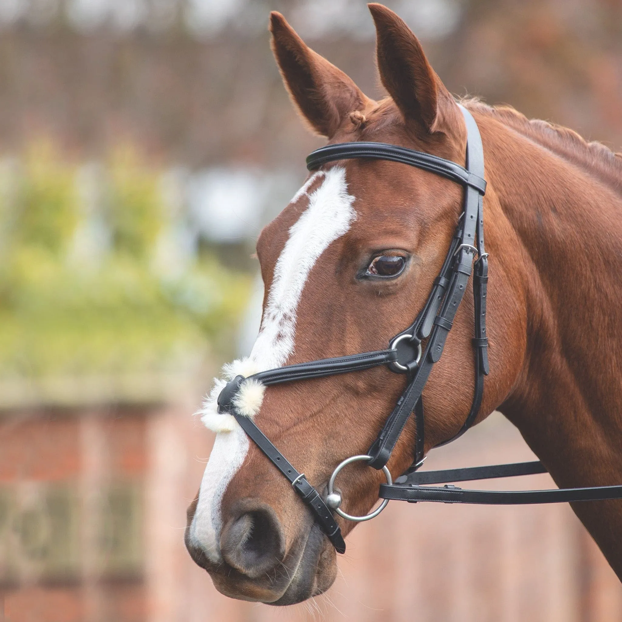 {"default":"Bridles"}