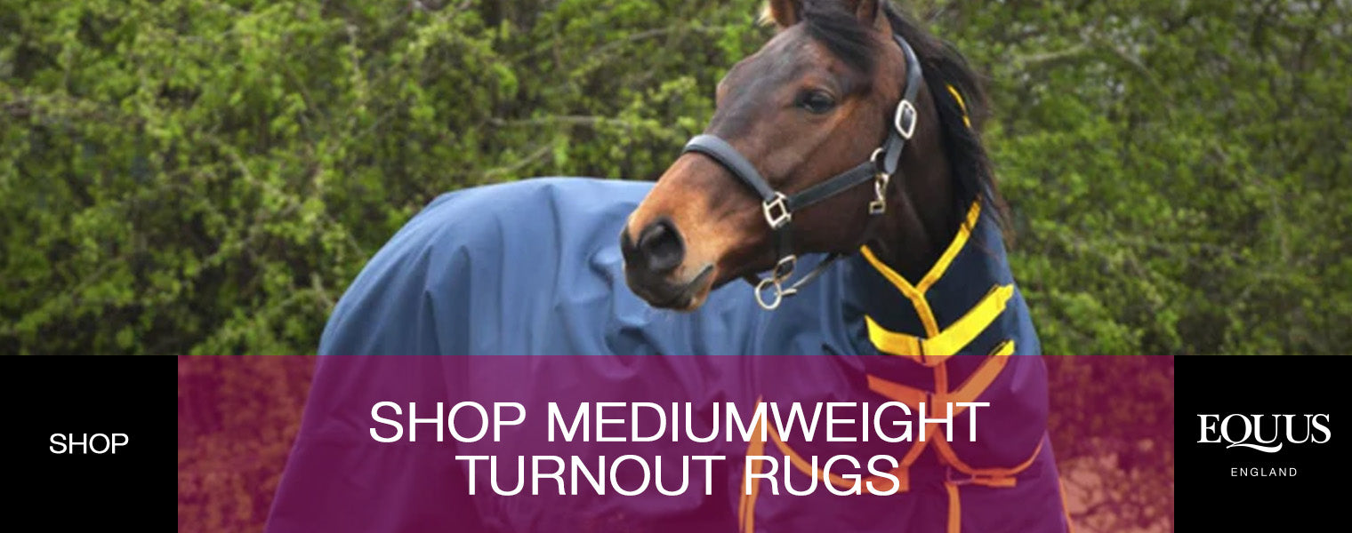 Shop Mediumweight Turnout Rugs