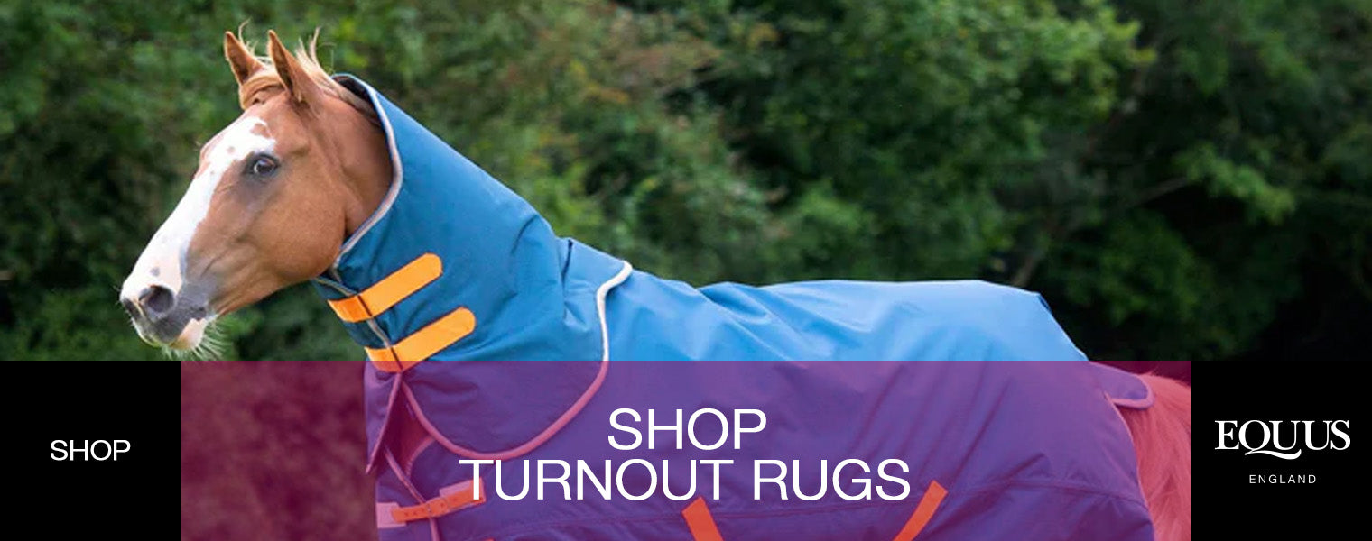 Shop Turnout Rugs