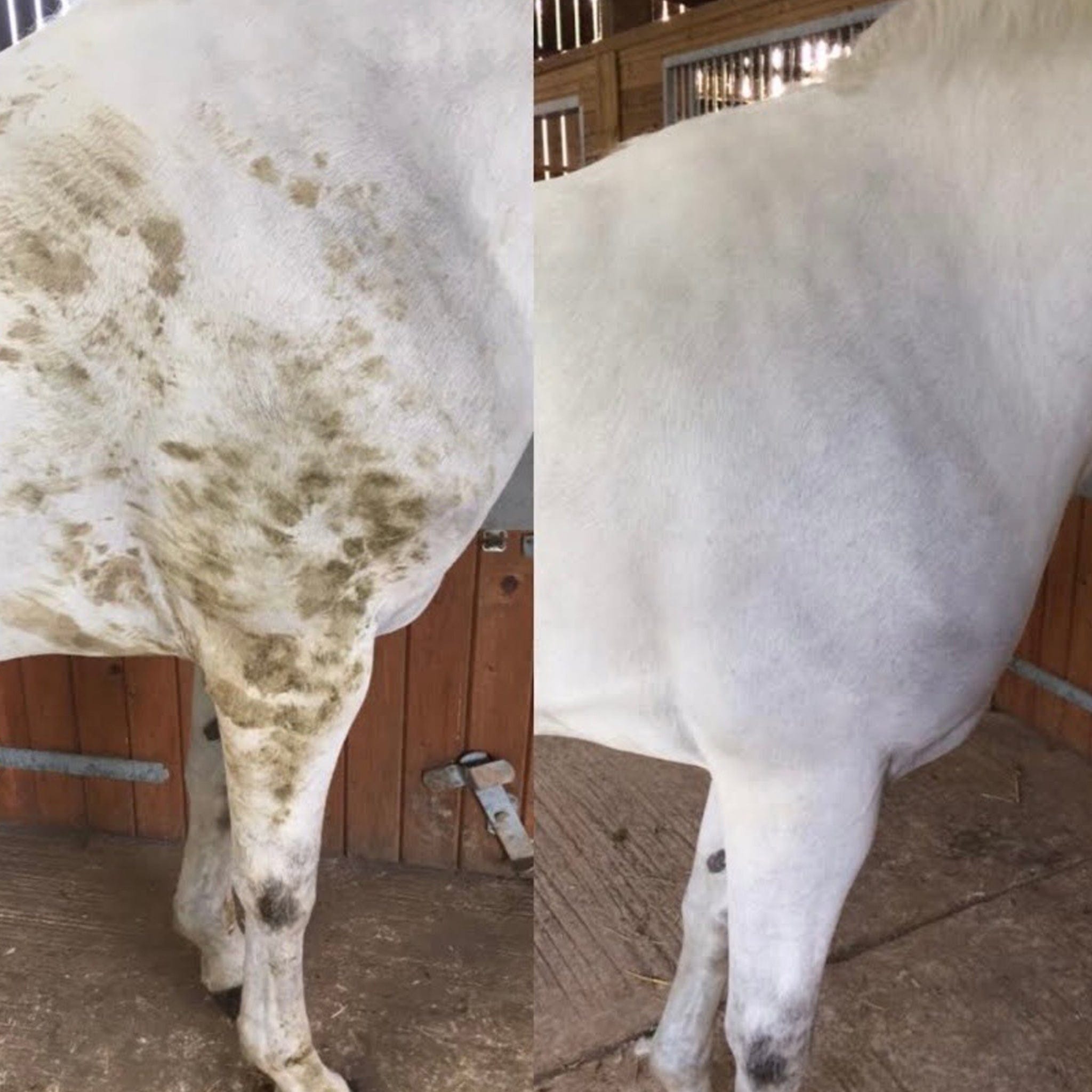 Smart Grooming Polar White Stain Remover