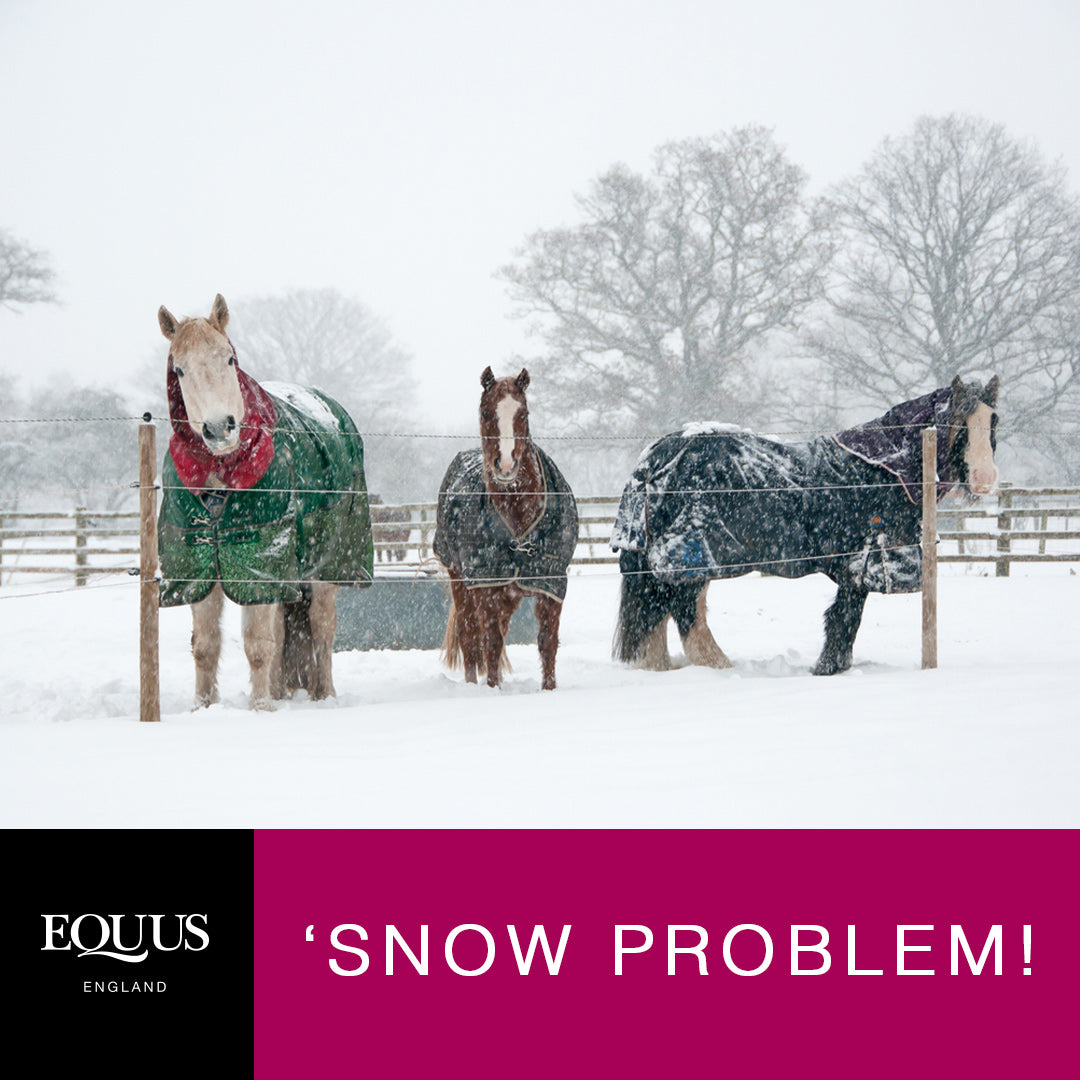 Snow Problem! 7 tips for looking after your horse in the snow.