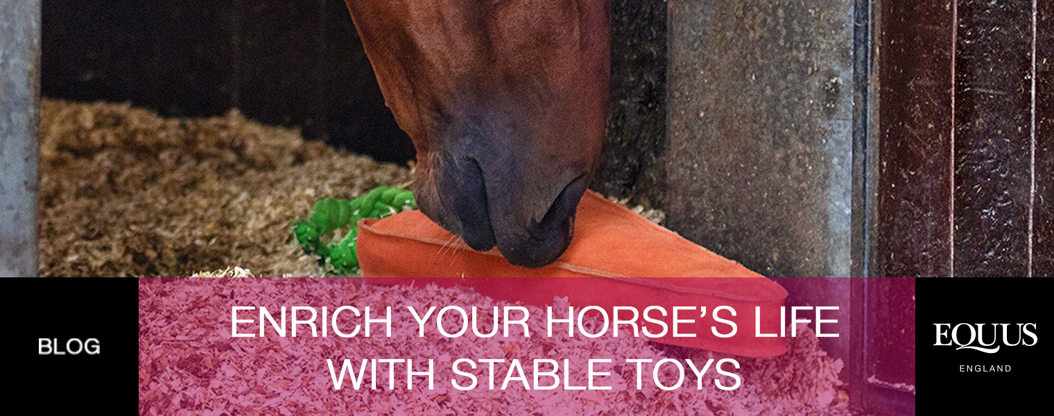 Enrich your horse's life with stable toys
