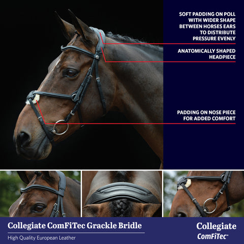 Collegiate Grackle Bridle