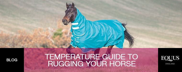 Temperature Guide To Rugging Your Horse