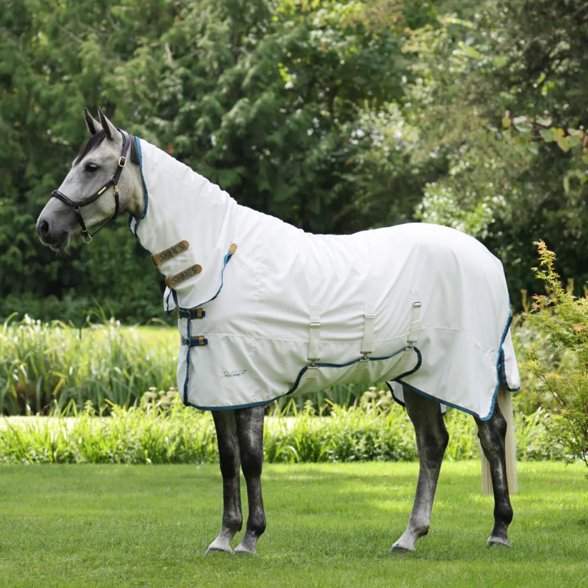 Shires Tempest Plus Sweet-Itch Combo Fly Rug