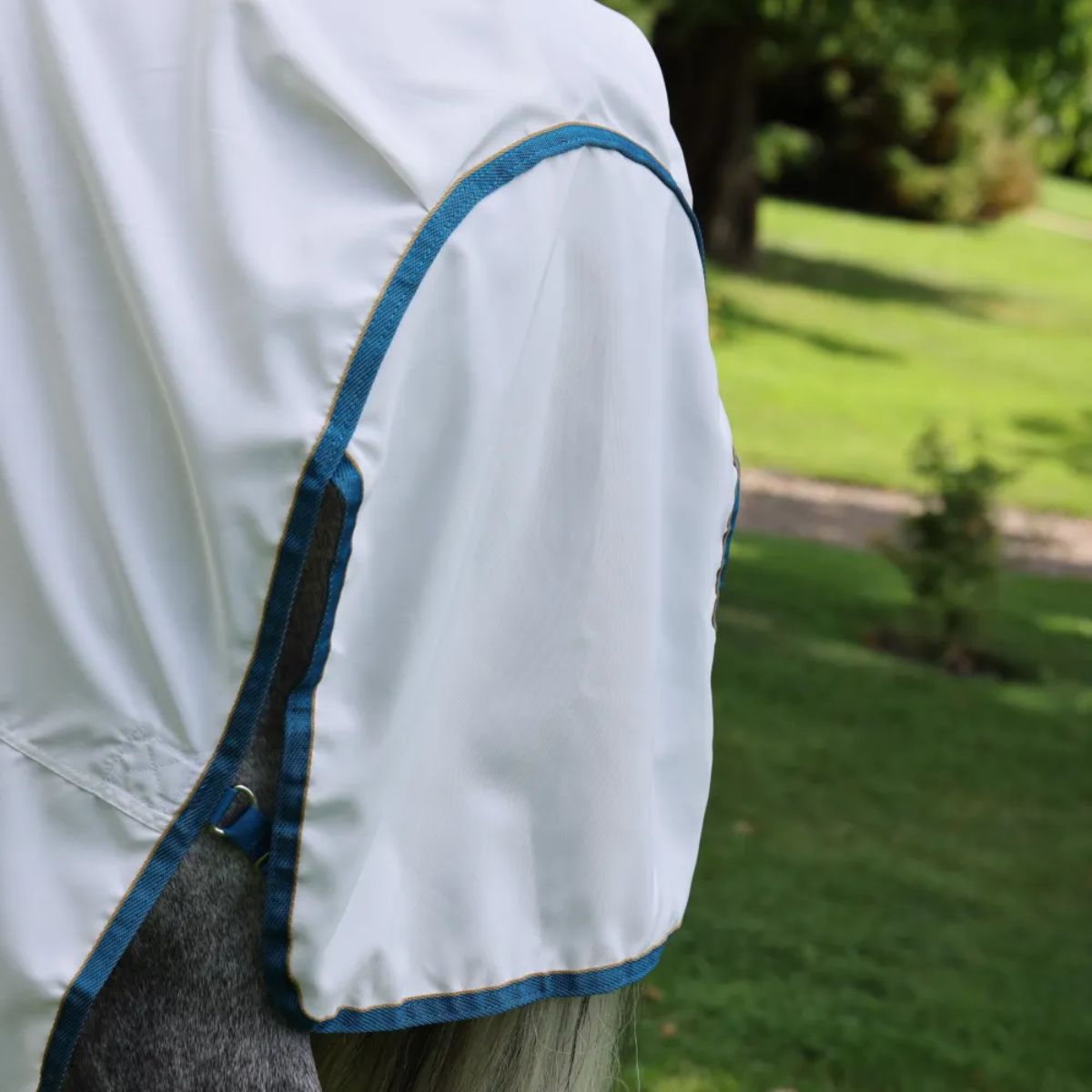 Shires Tempest Plus Sweet-Itch Combo Fly Rug