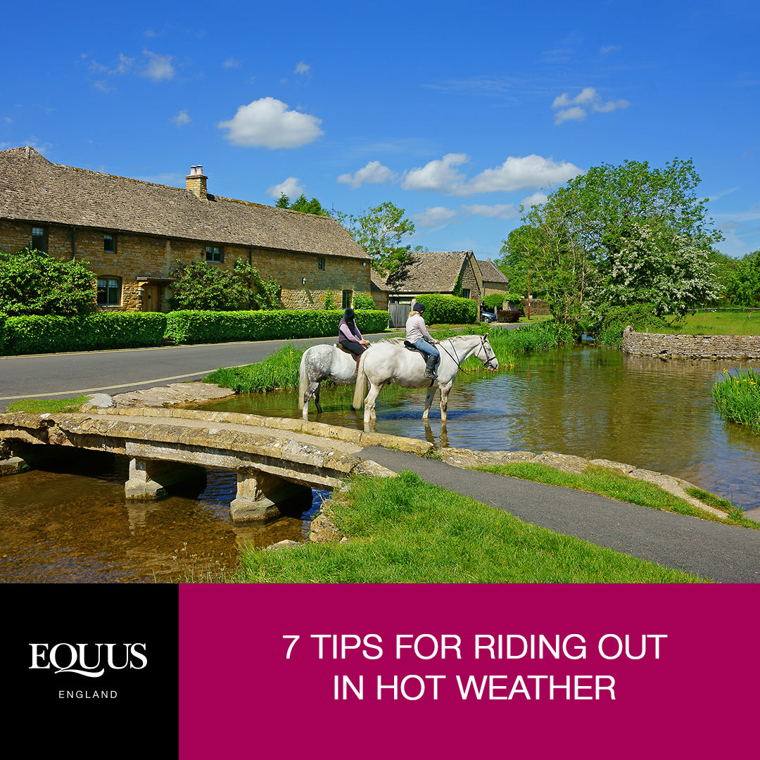 7 Tips For Horse Riding In Hot Weather