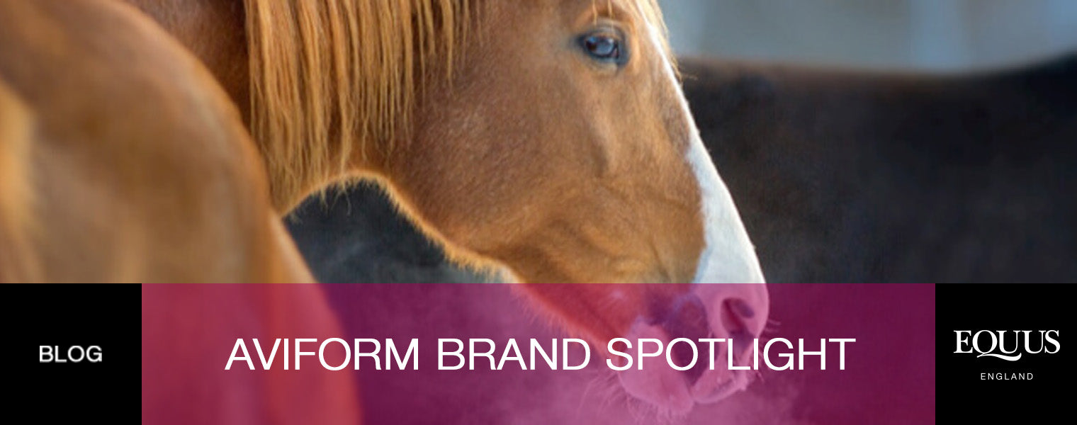 Aviform Brands Spotlight