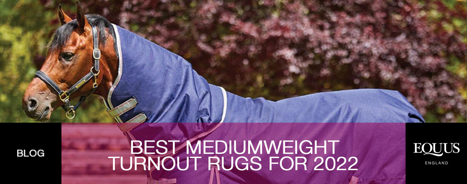Best Mediumweight Turnout Rugs