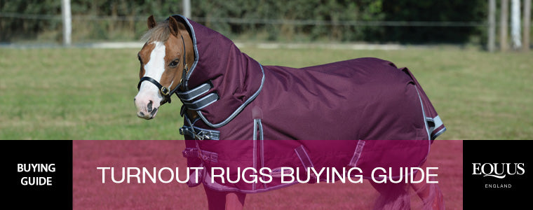 Turnout Rugs Buying Guide