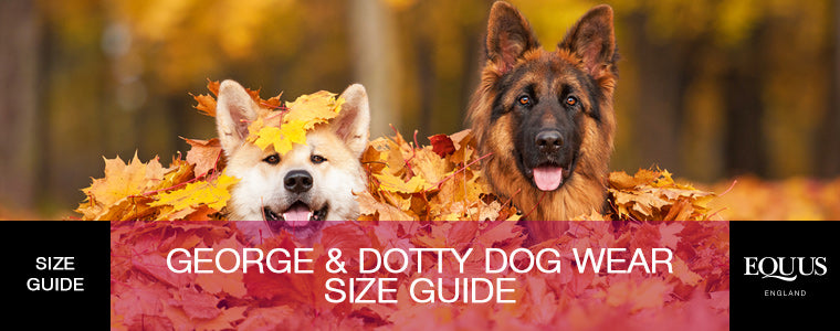 George and Dotty Size Guide
