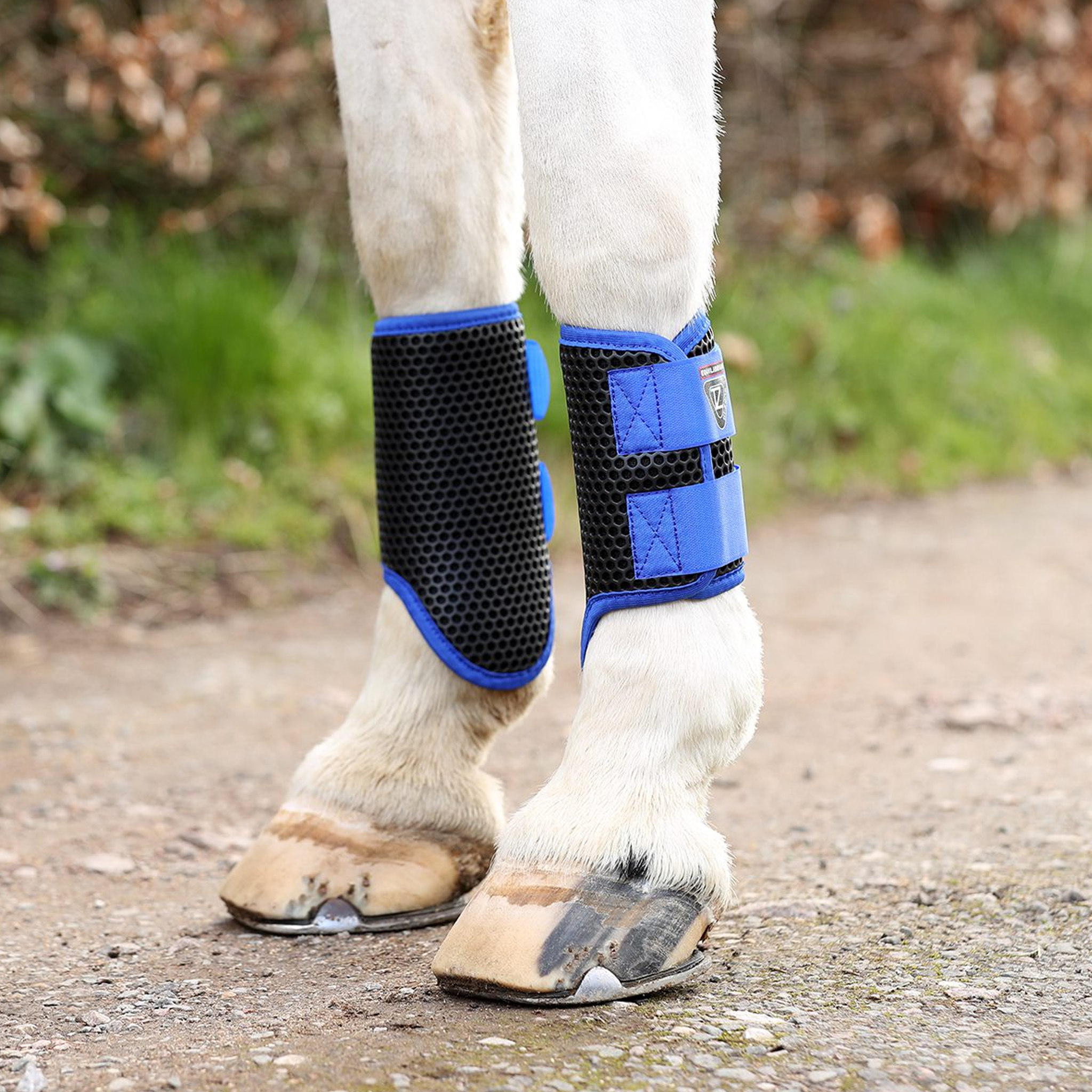 Equilibrium Tri-Zone Brushing Boots - Cob Wide · Royal Blue