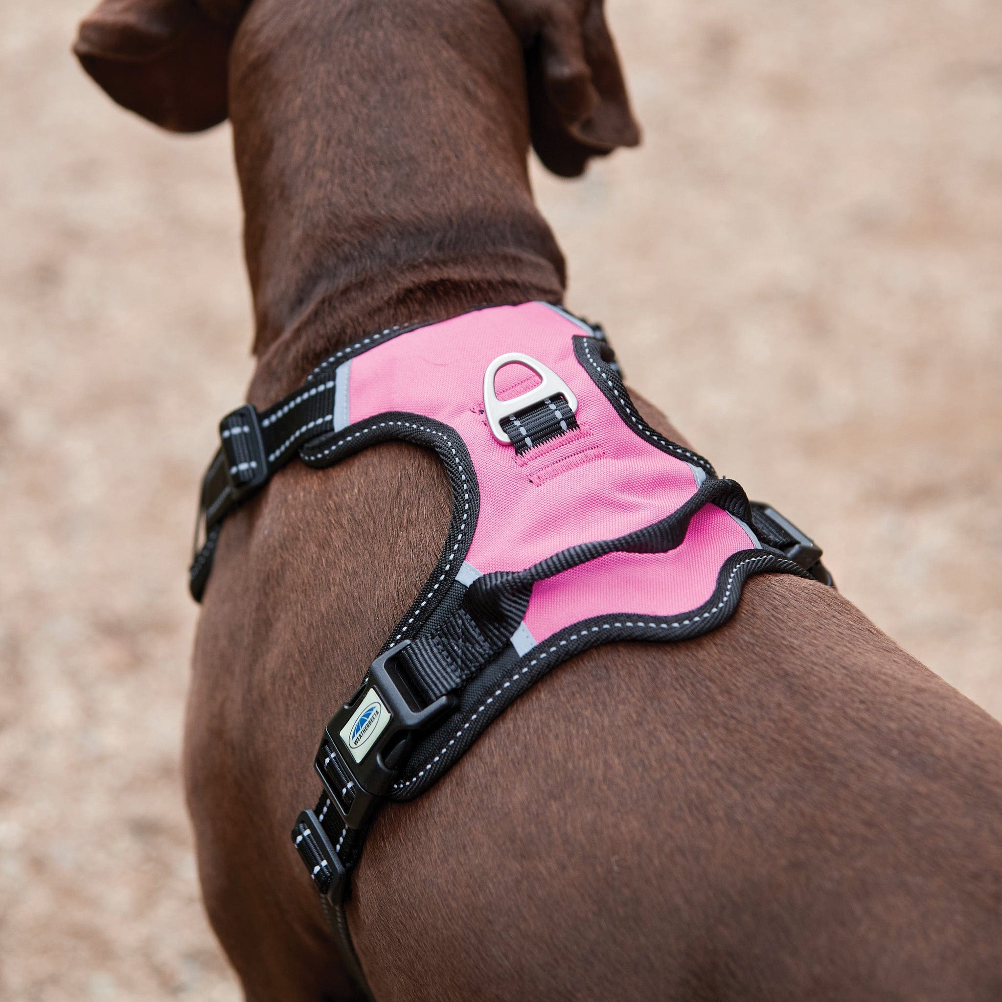 Weatherbeeta Reflective Anti-Pull Travel Dog Harness