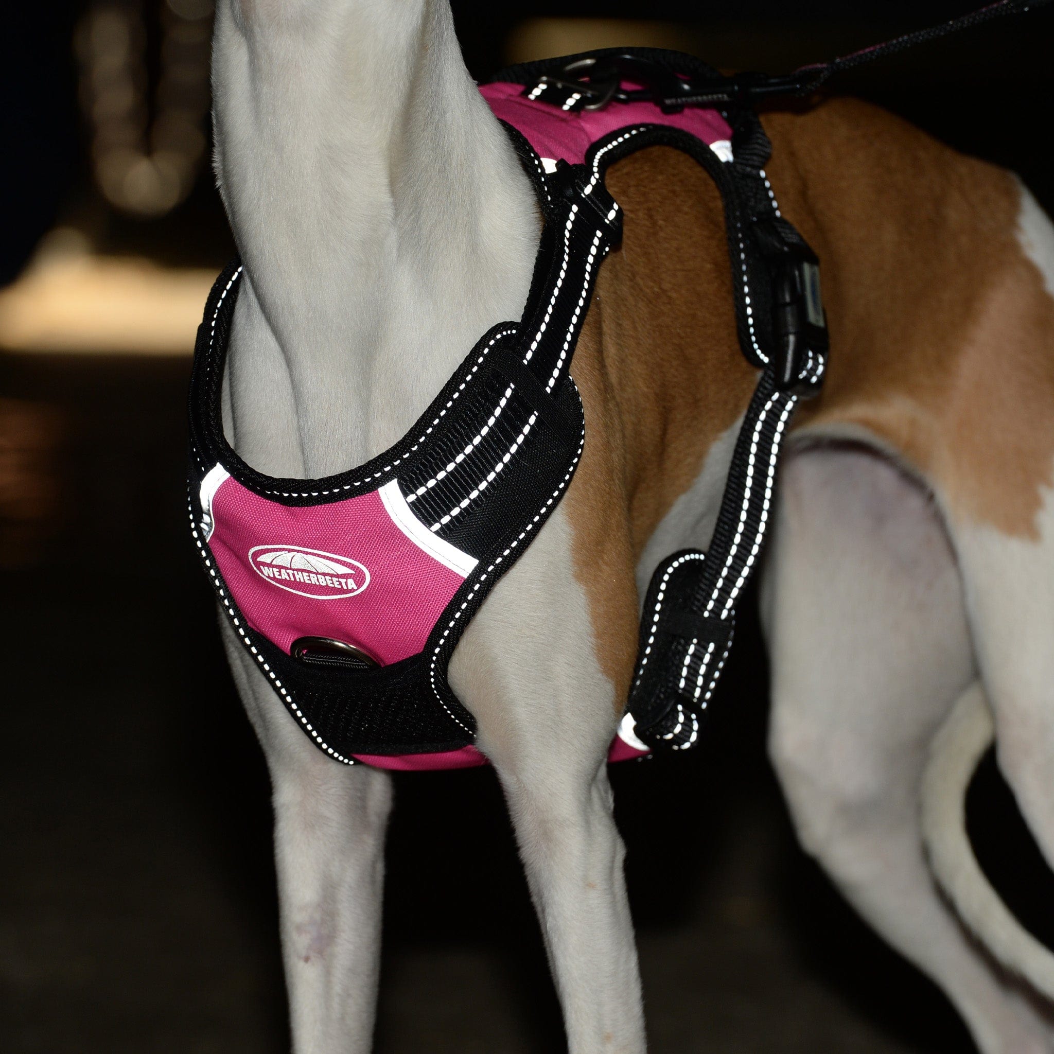 Weatherbeeta Reflective Anti-Pull Travel Dog Harness