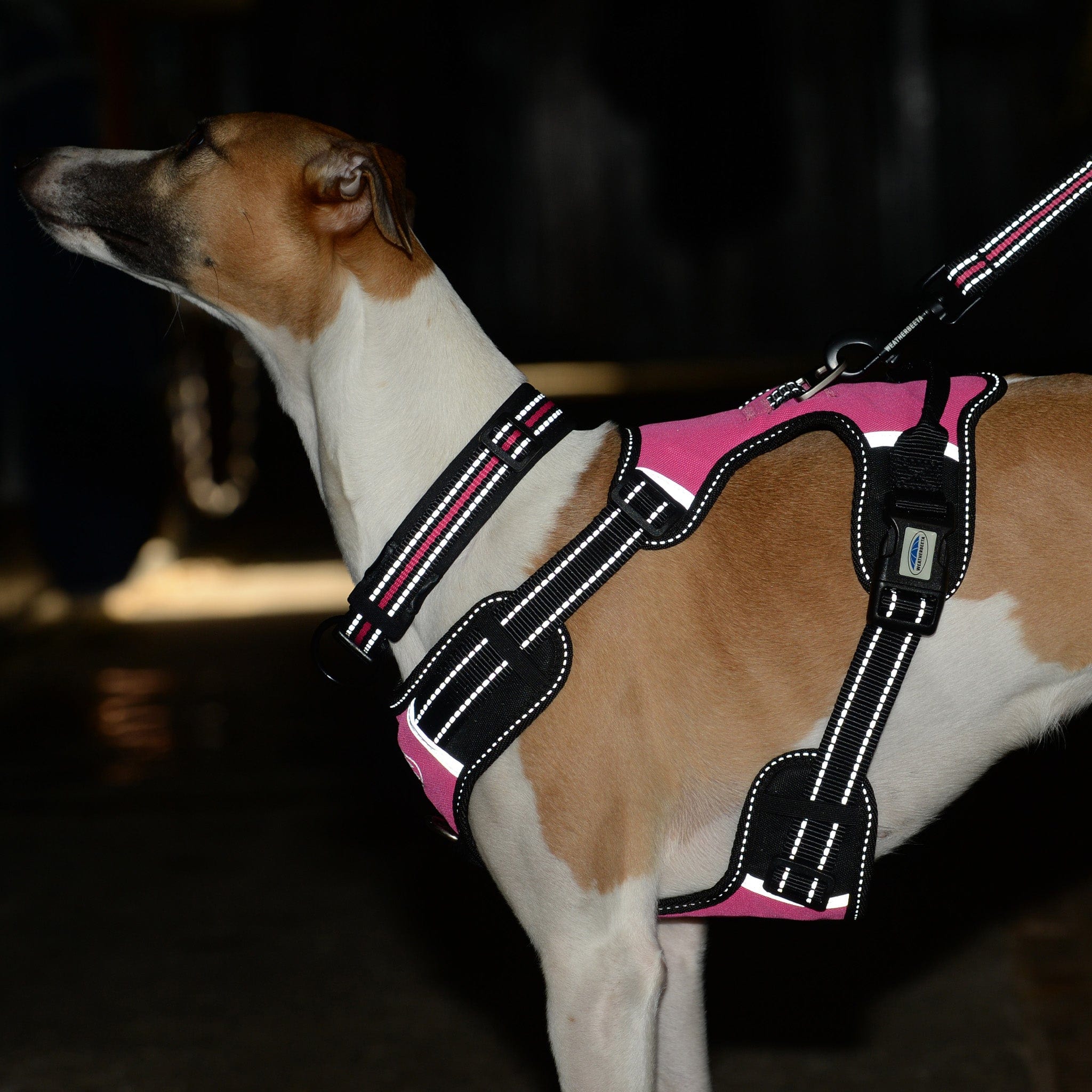 Weatherbeeta Reflective Anti-Pull Travel Dog Harness