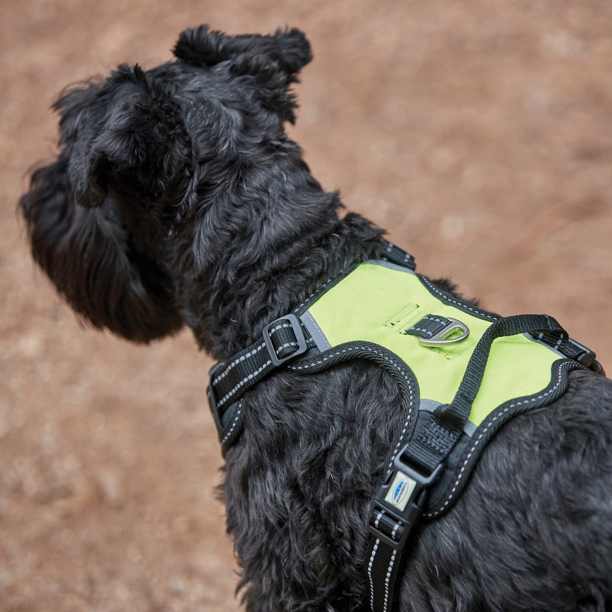 Weatherbeeta Reflective Anti-Pull Travel Dog Harness
