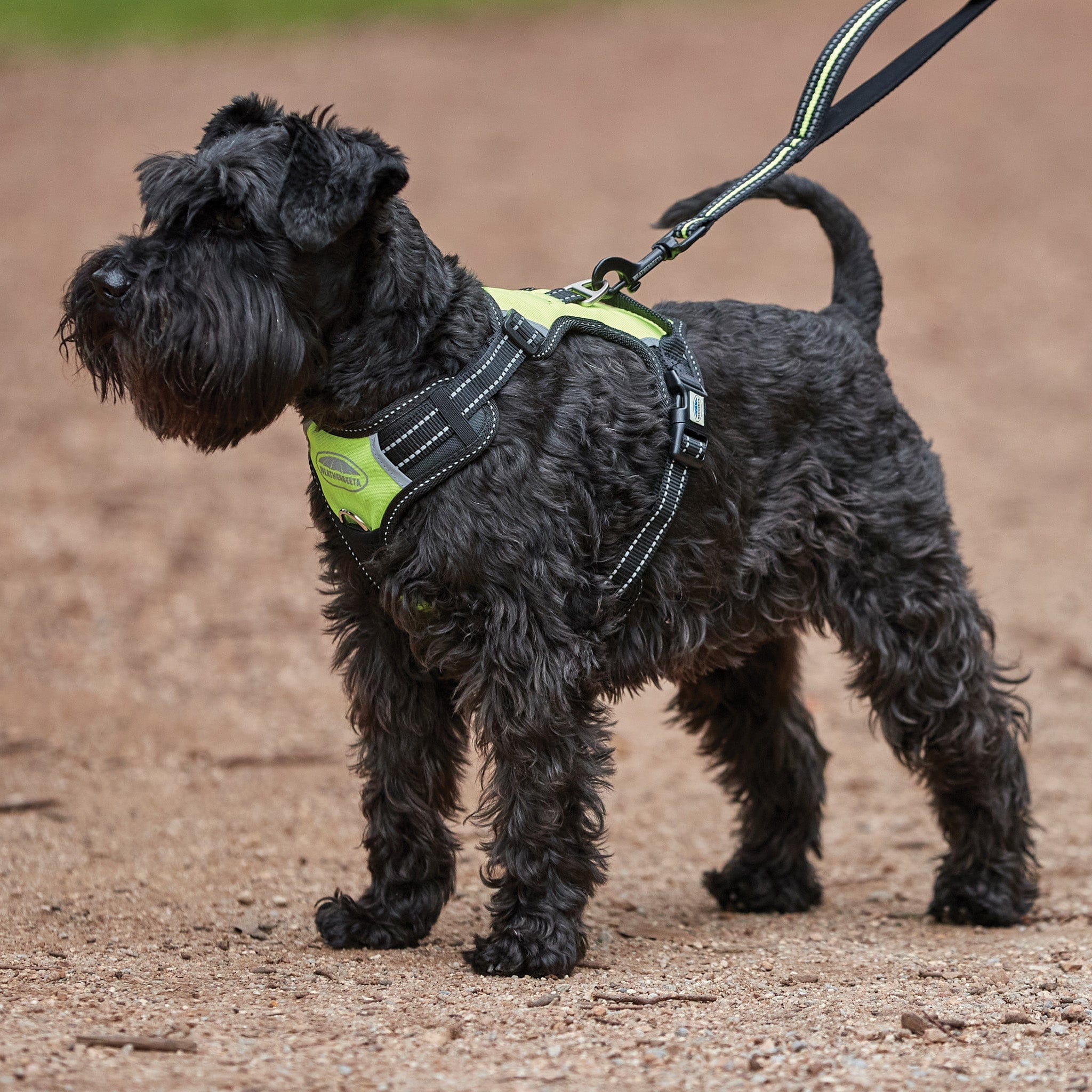 Weatherbeeta Reflective Anti-Pull Travel Dog Harness - X-Large · Yellow and Black