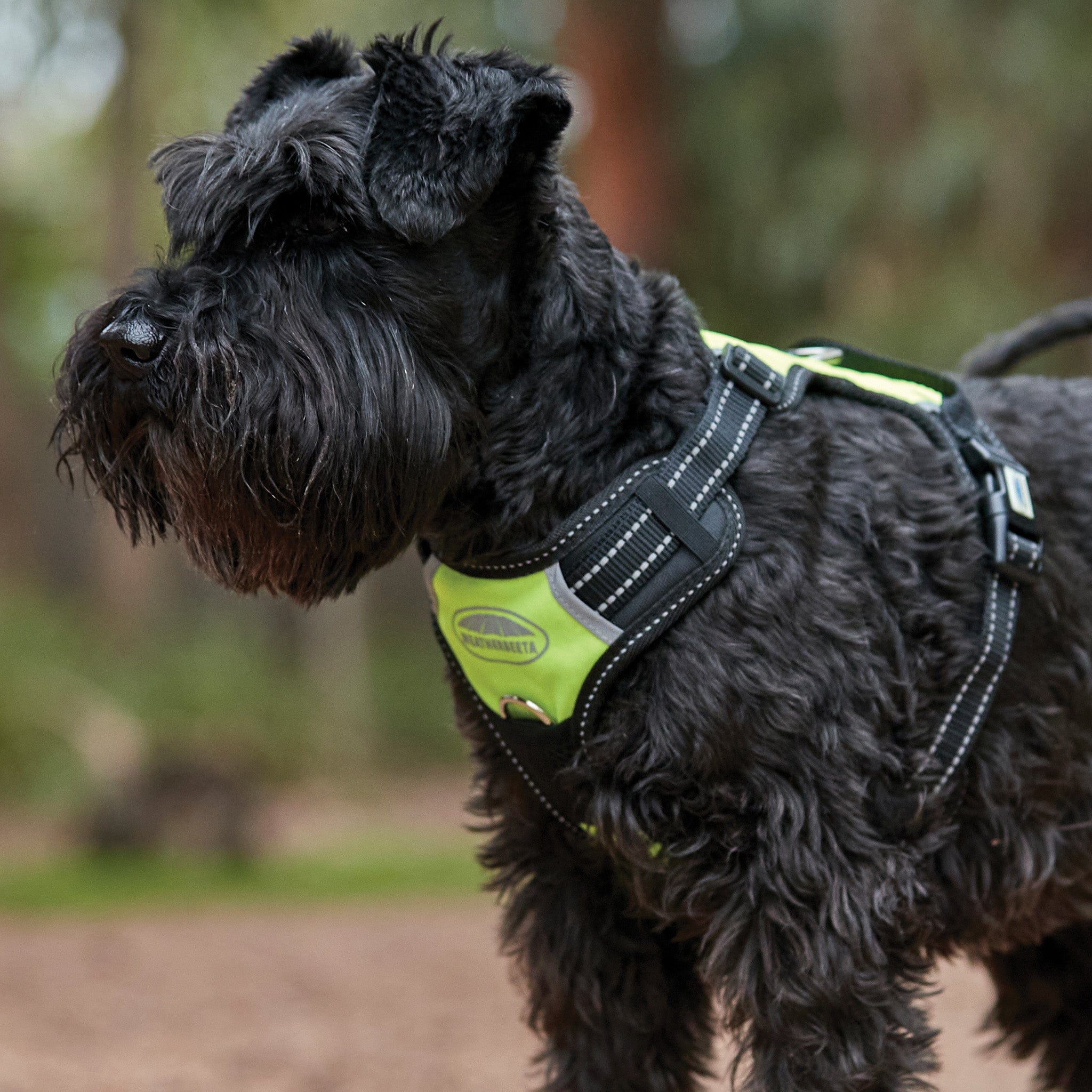 Weatherbeeta Reflective Anti-Pull Travel Dog Harness