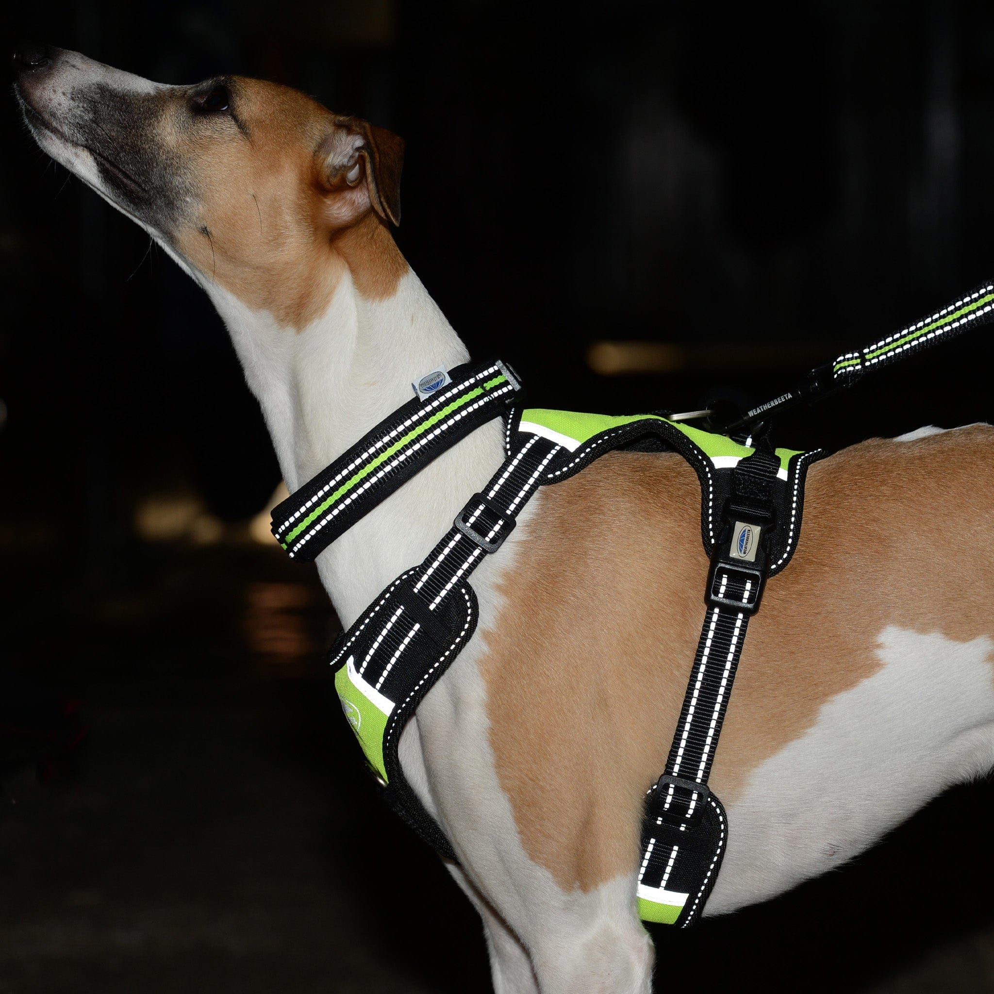 Weatherbeeta Reflective Anti-Pull Travel Dog Harness