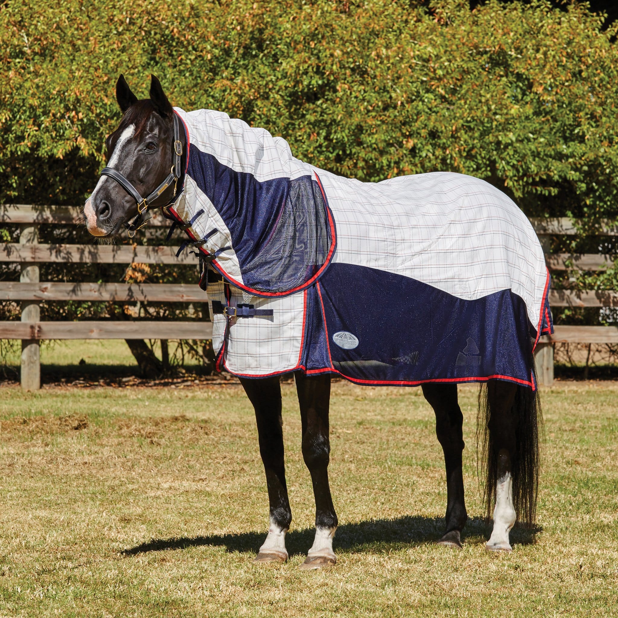 Weatherbeeta Breeze with Surcingle Iii Combo Fly Rug White and Navy - 5'6