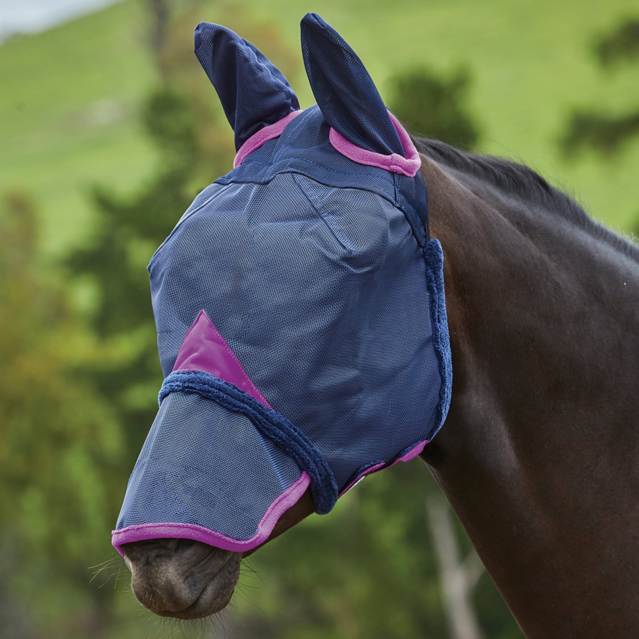 Weatherbeeta Durable Mesh Fly Mask With Ears and Nose 1003149001 Navy and Purple