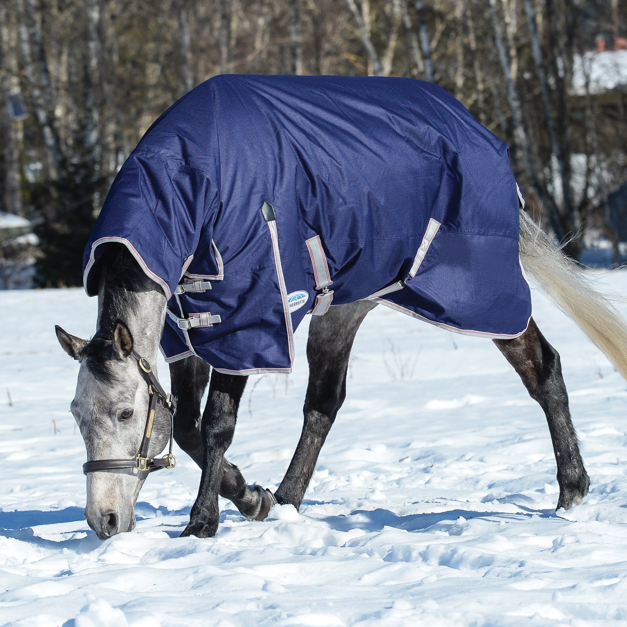 Weatherbeeta ComFiTec Essential Plus 50g Combo Neck Turnout Rug