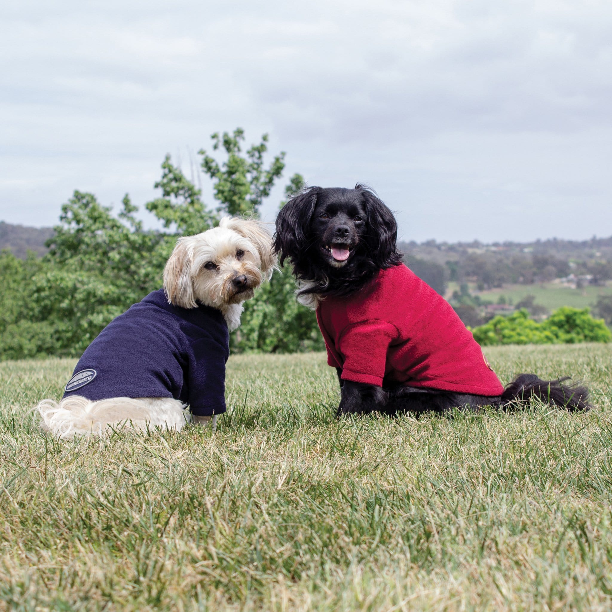 Weatherbeeta ComFiTec Fleece Dog Jumper 1001619002 Navy and Burgundy