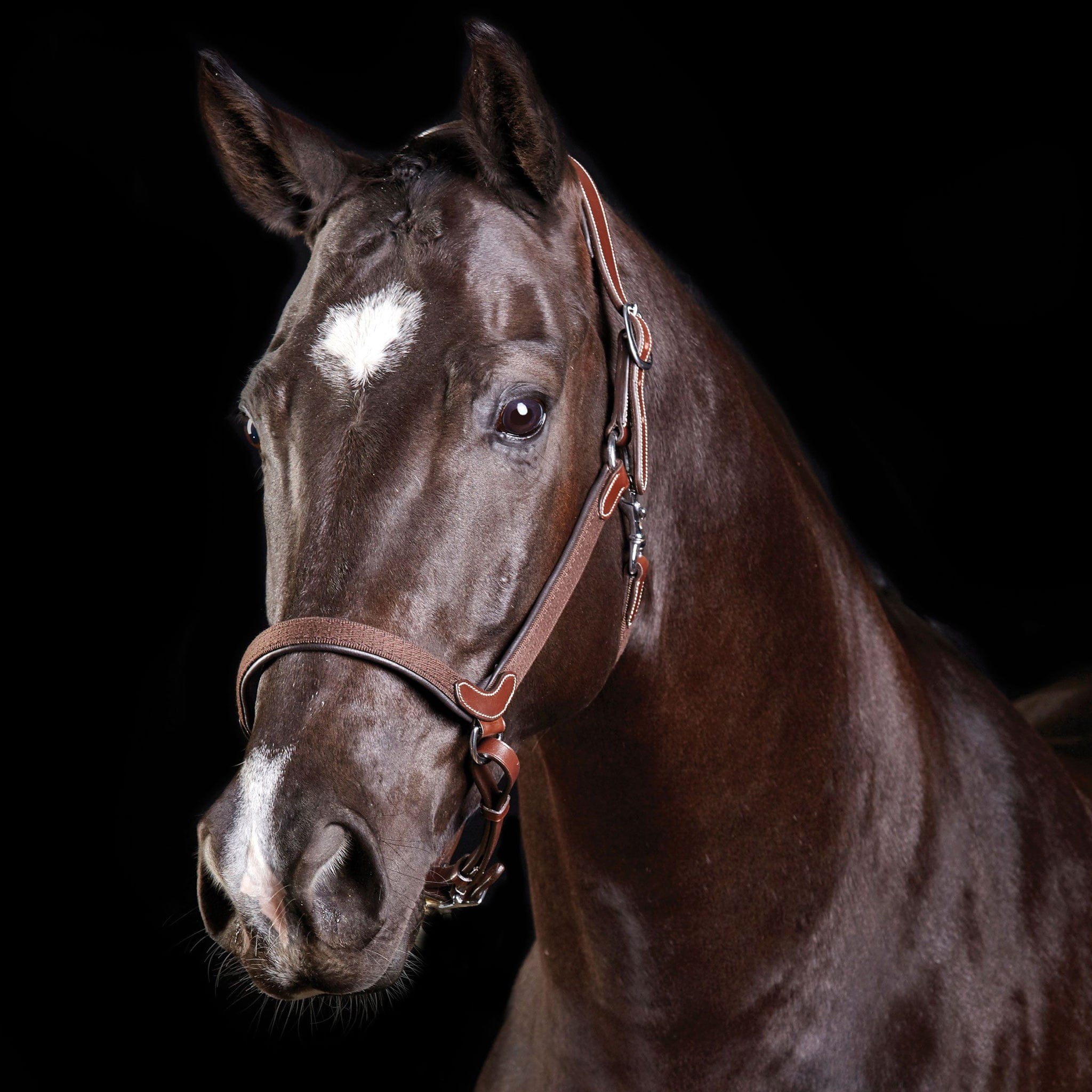 Collegiate Comfitec Leather Headcollar - Pony · Brown