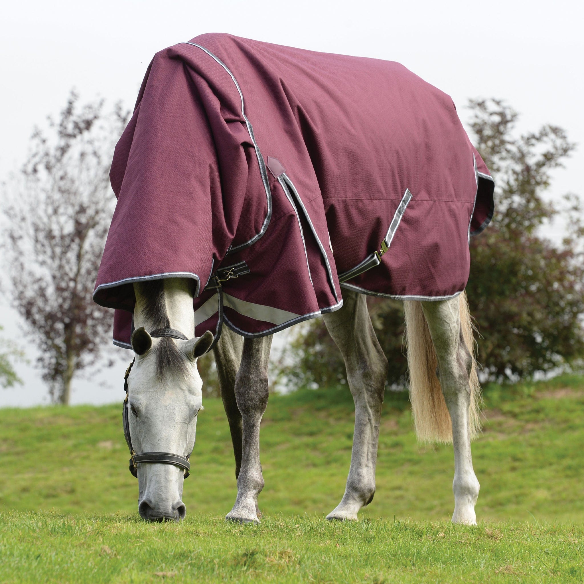 Weatherbeeta ComFiTec Plus Dynamic II 100g Detachable Neck Turnout Rug