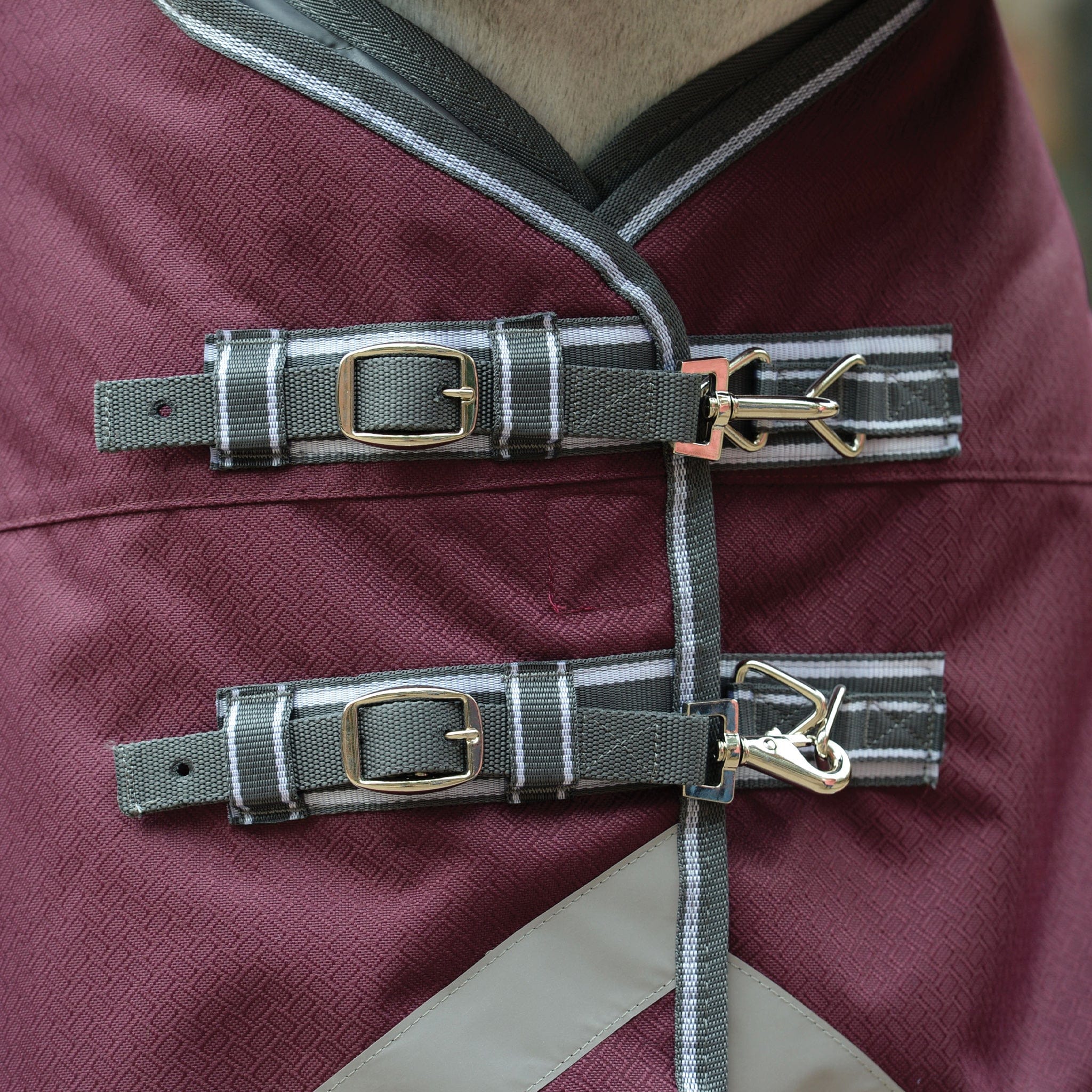 Weatherbeeta ComFiTec Plus Dynamic II 100g Detachable Neck Turnout Rug