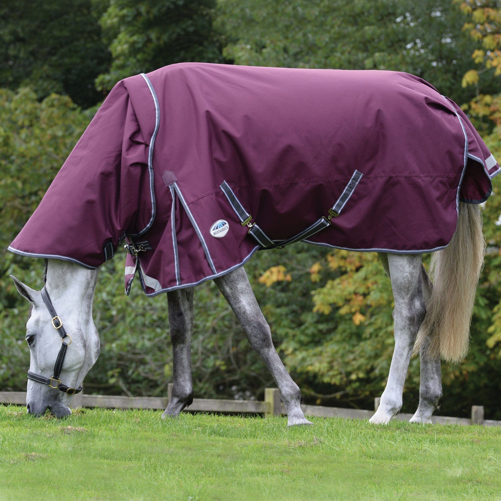 Weatherbeeta ComFiTec Plus Dynamic II 100g Detachable Neck Turnout Rug