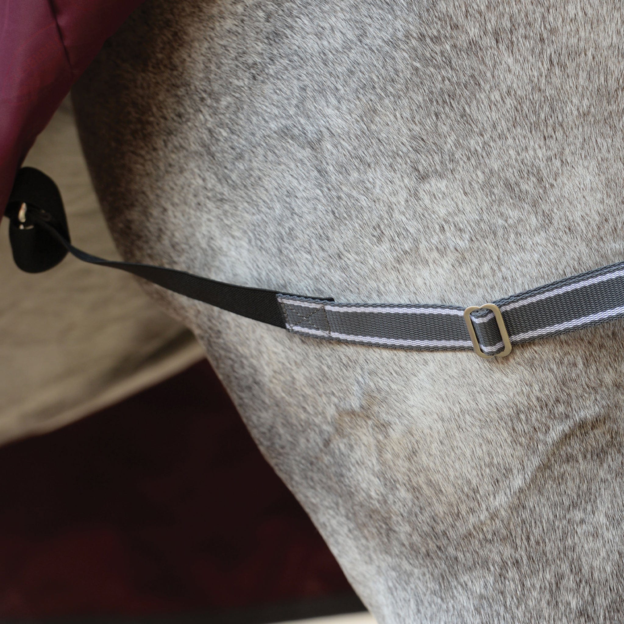 Weatherbeeta ComFiTec Plus Dynamic II 100g Detachable Neck Turnout Rug