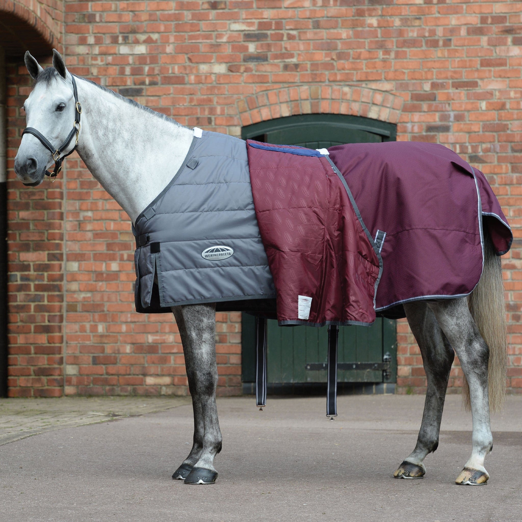 Weatherbeeta ComFiTec Plus Dynamic II 100g Detachable Neck Turnout Rug