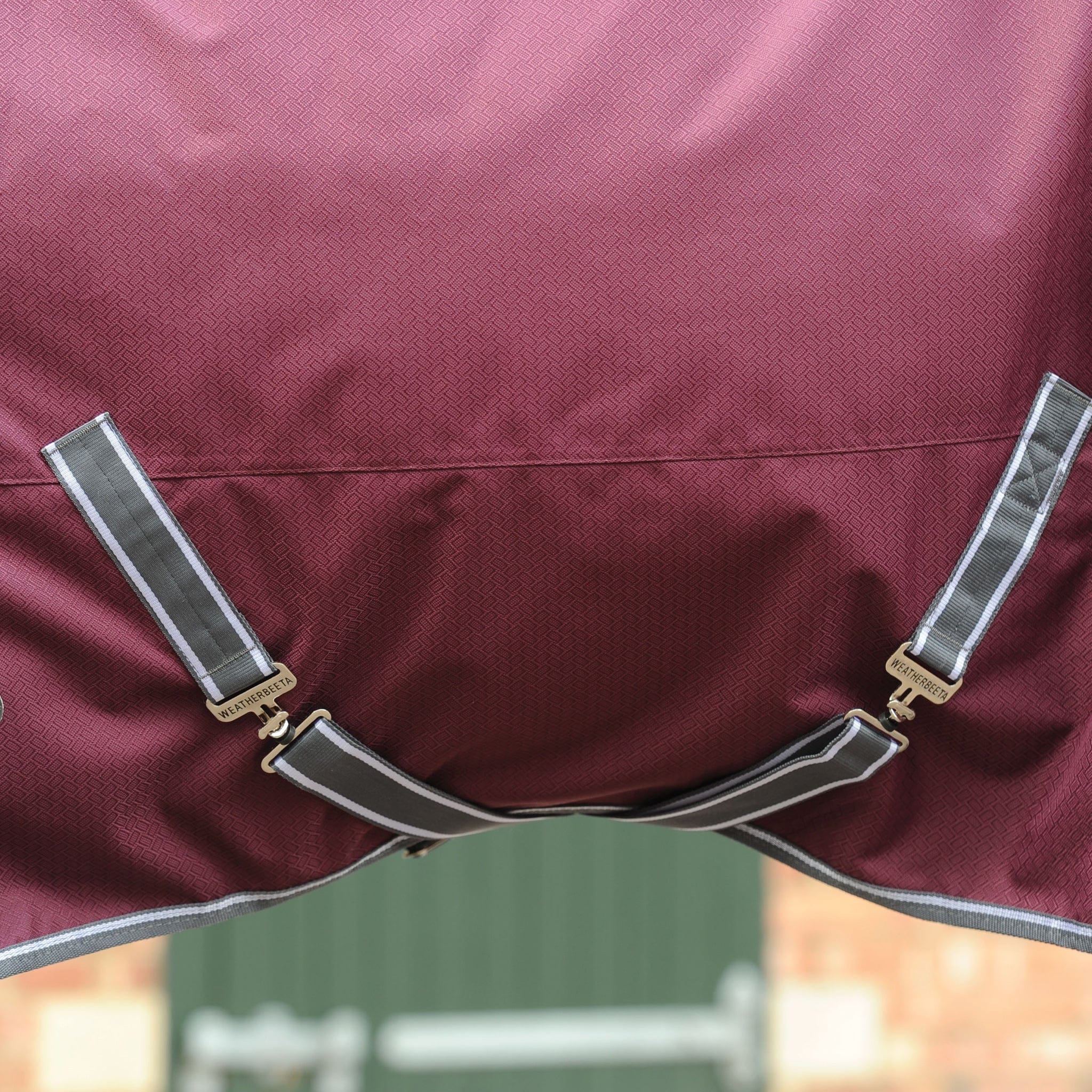 Weatherbeeta ComFiTec Plus Dynamic II 100g Detachable Neck Turnout Rug