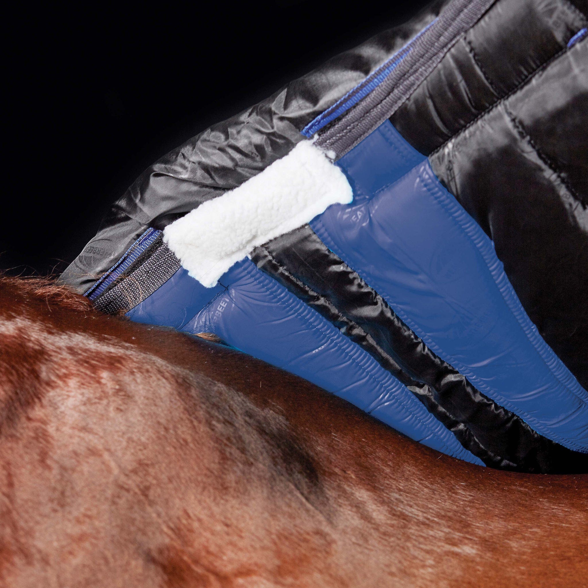 Weatherbeeta ComFiTec Plus Dynamic II 100g Detachable Neck Turnout Rug