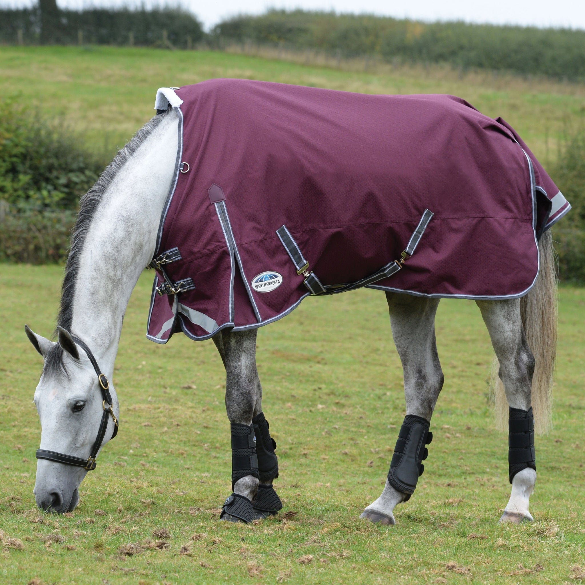 Weatherbeeta ComFiTec Plus Dynamic II 0g Standard Turnout Rug