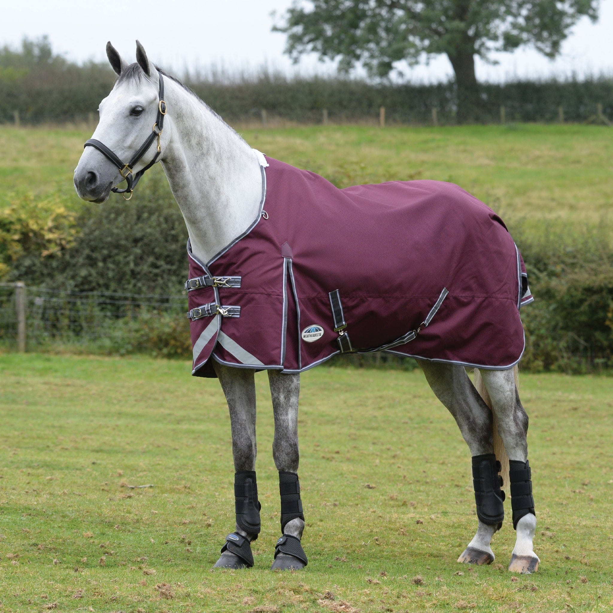 Weatherbeeta ComFiTec Plus Dynamic II 0g Standard Turnout Rug