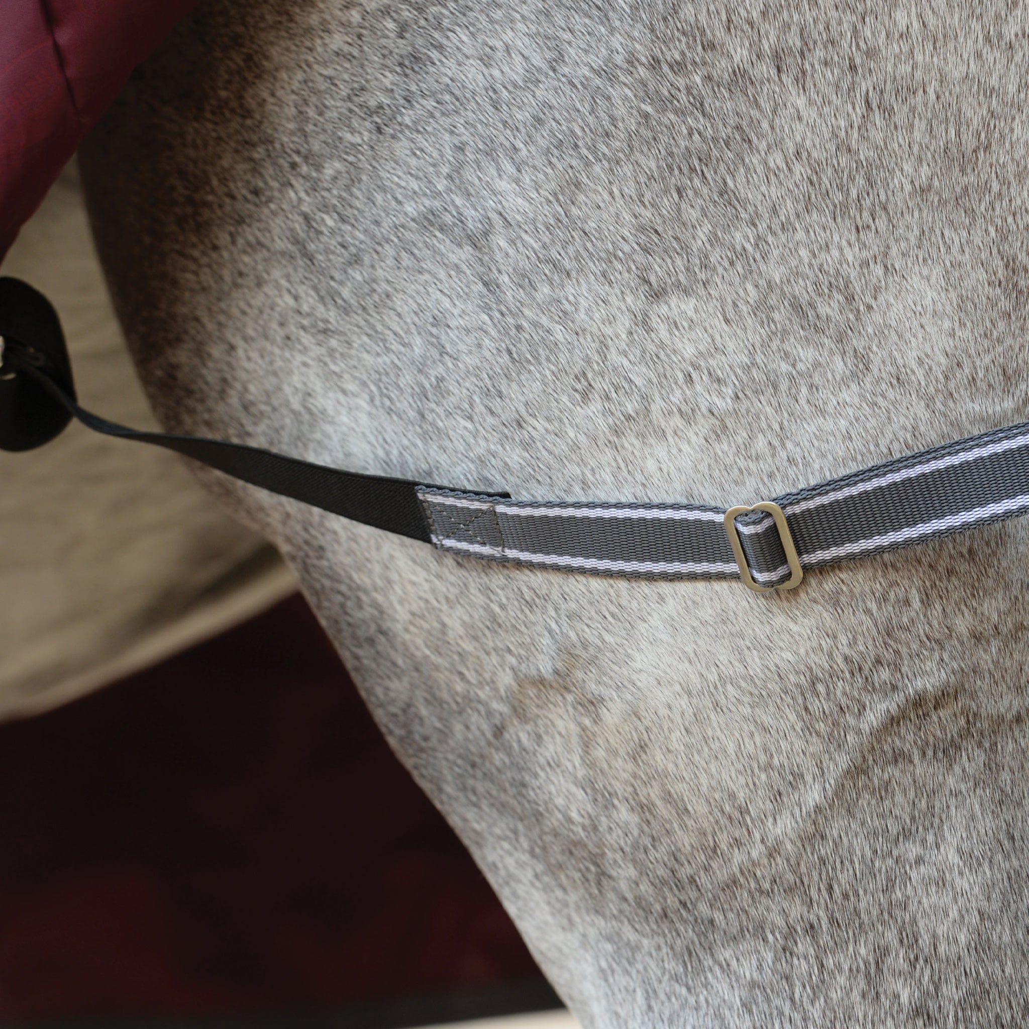 Weatherbeeta ComFiTec Plus Dynamic II 0g Standard Turnout Rug