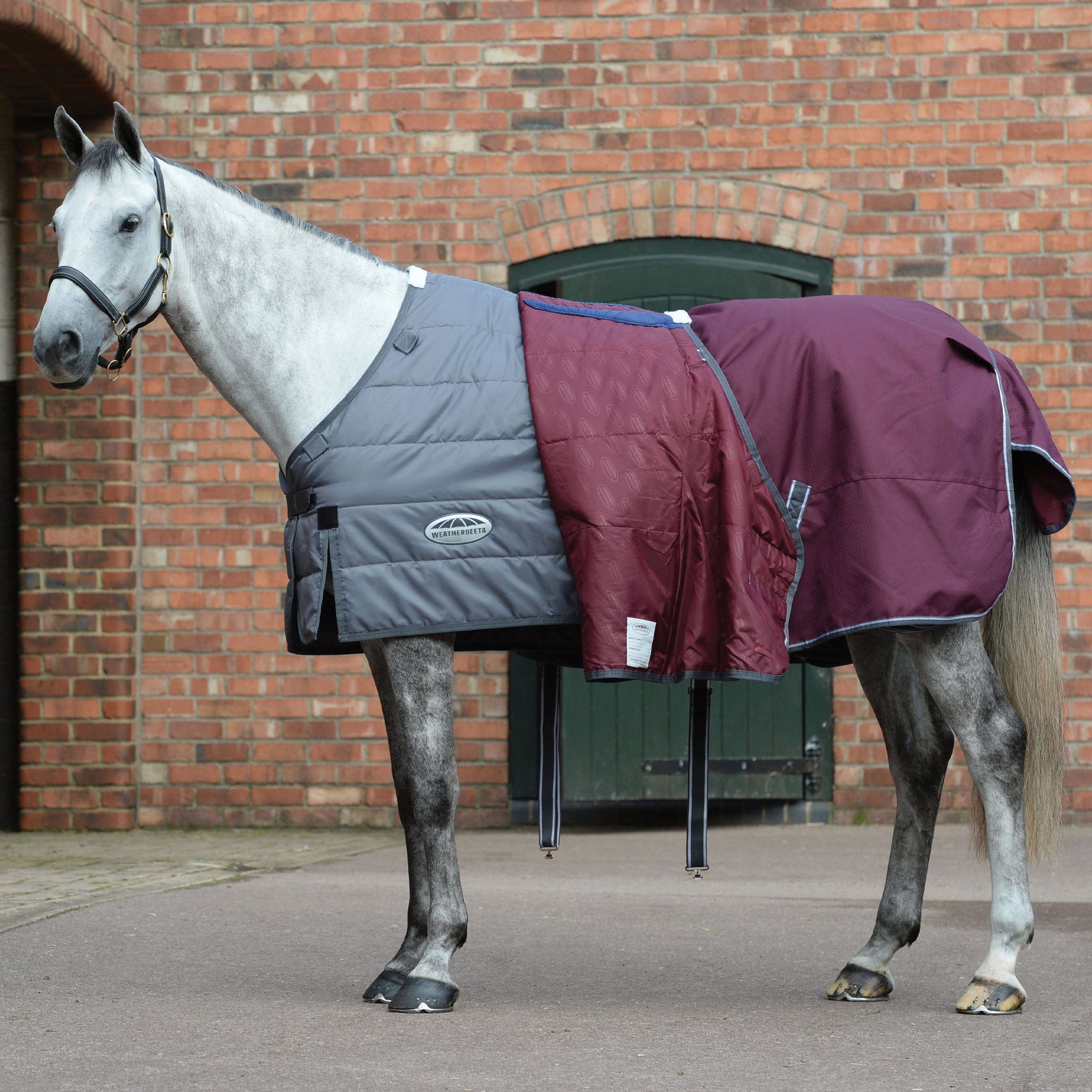Weatherbeeta ComFiTec Plus Dynamic II 0g Standard Turnout Rug