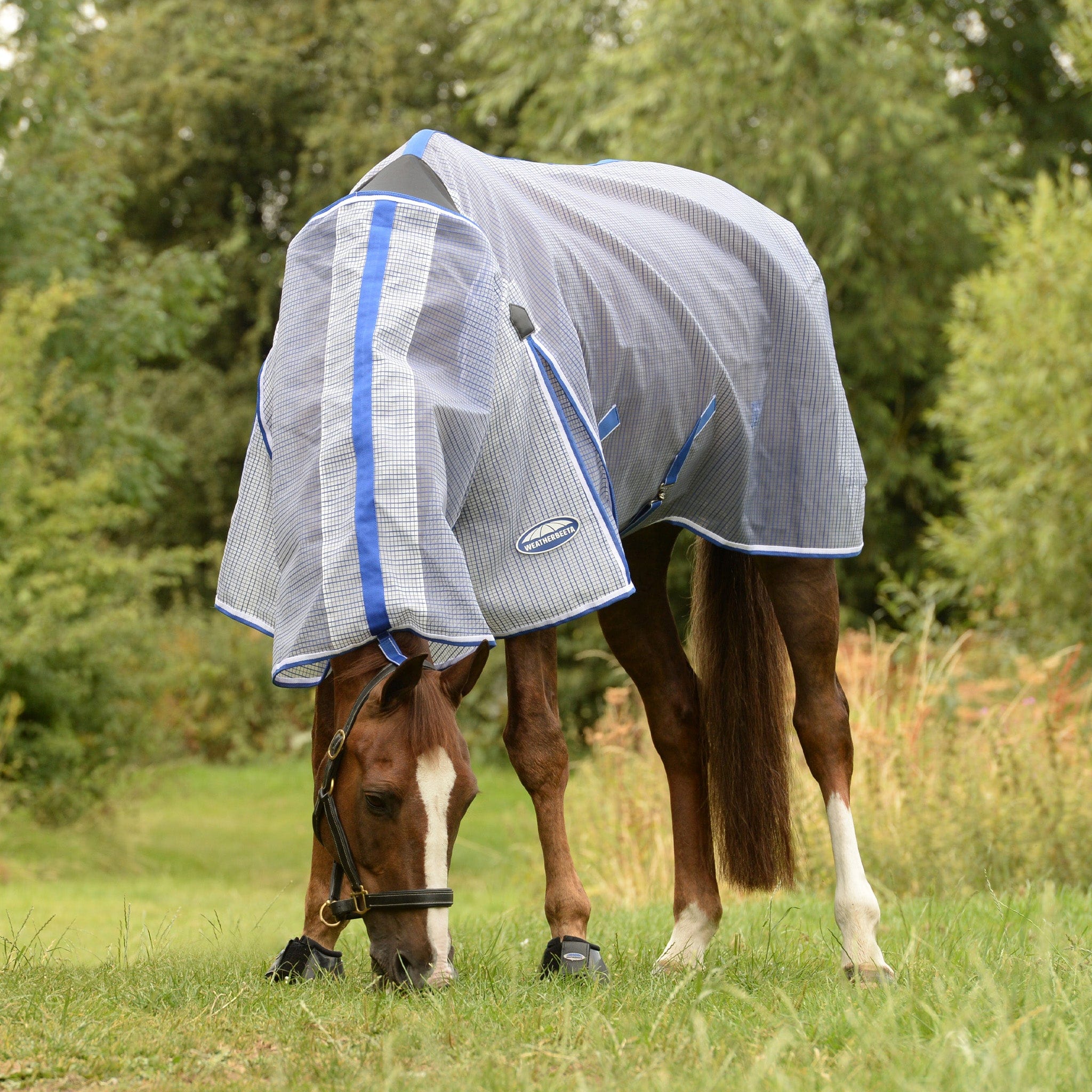 Fly Rugs and Sweet Itch Rugs For Horses EQUUS EQUUS