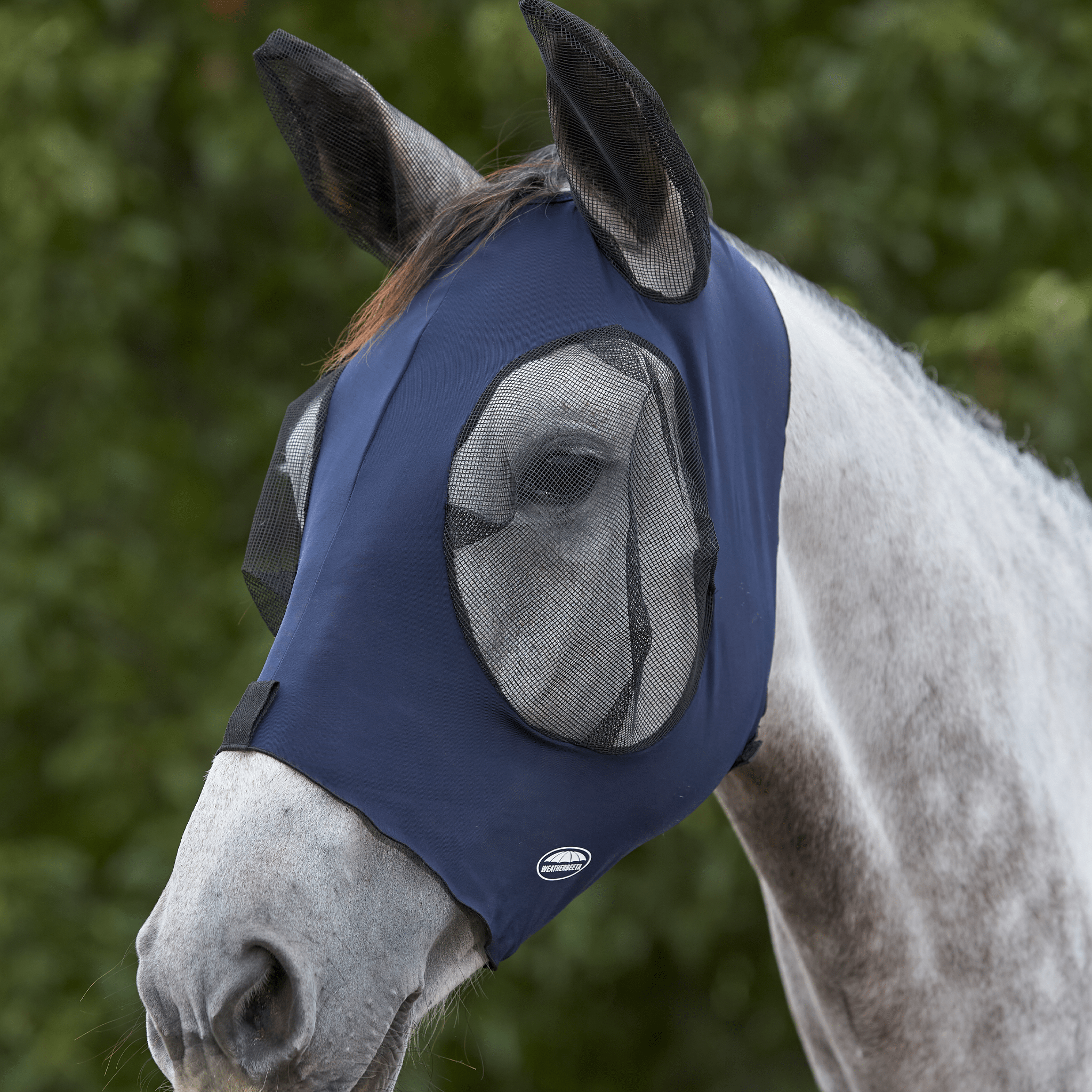 Weatherbeeta Deluxe Stretch Bug Eye Saver With Ears