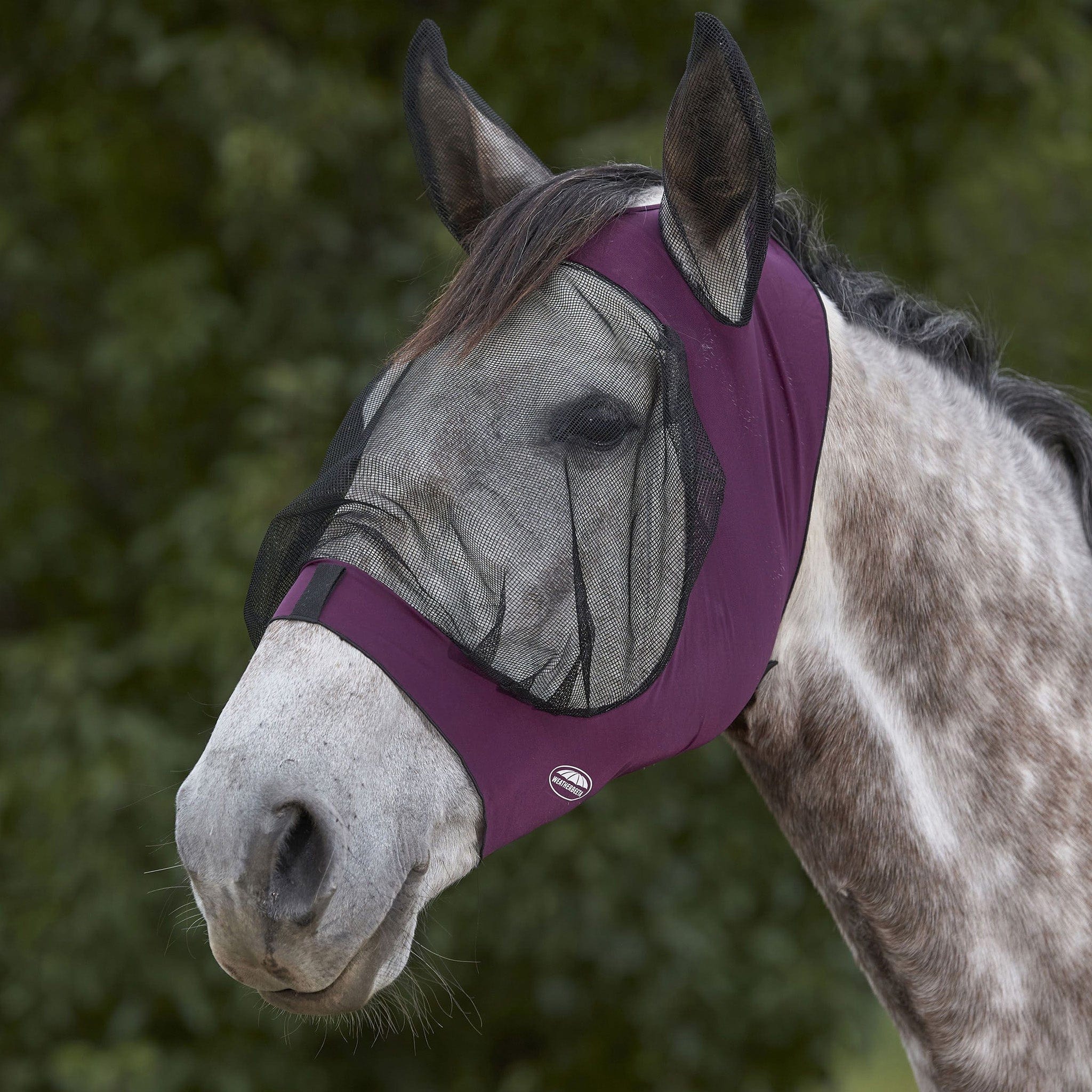 Weatherbeeta Deluxe Stretch Eye Saver With Ears - Pony · Purple