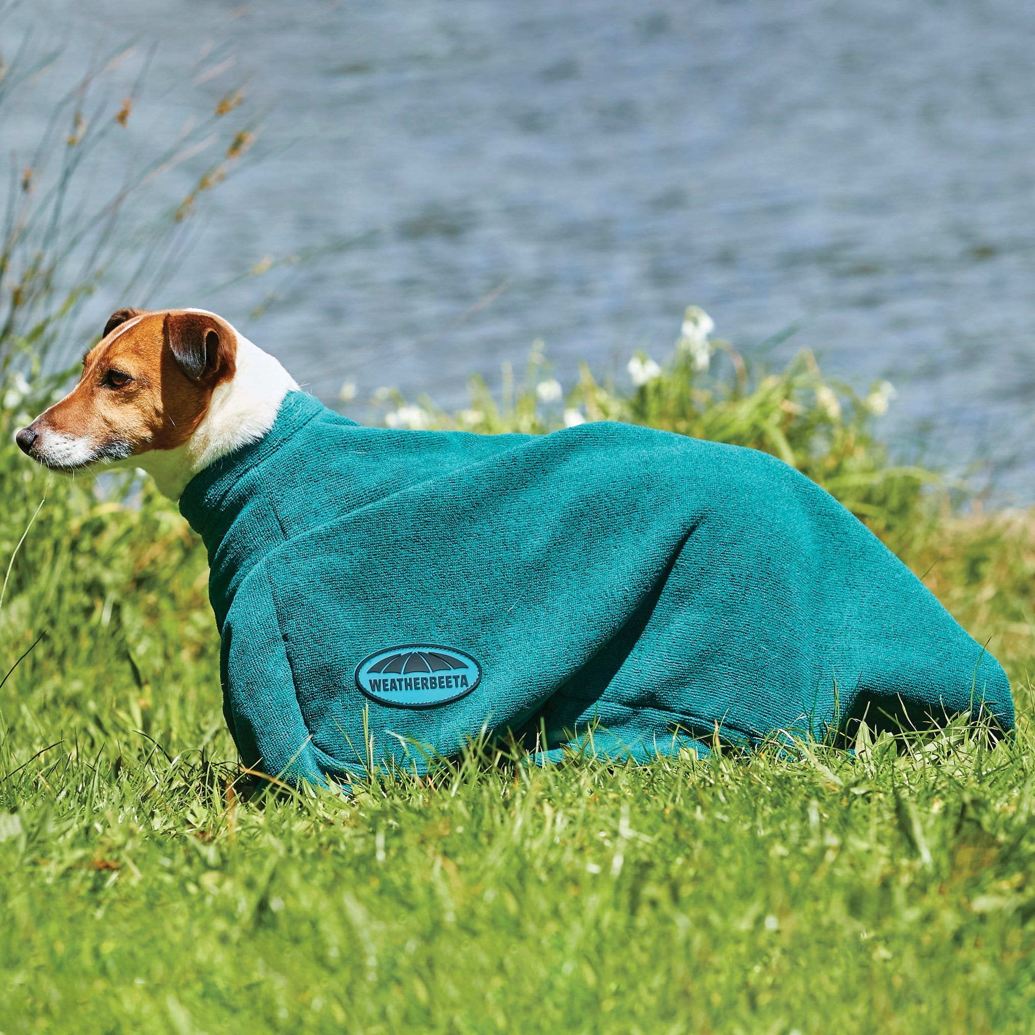 Weatherbeeta ComFiTec Dry-Dog Bag Green Size Extra Small